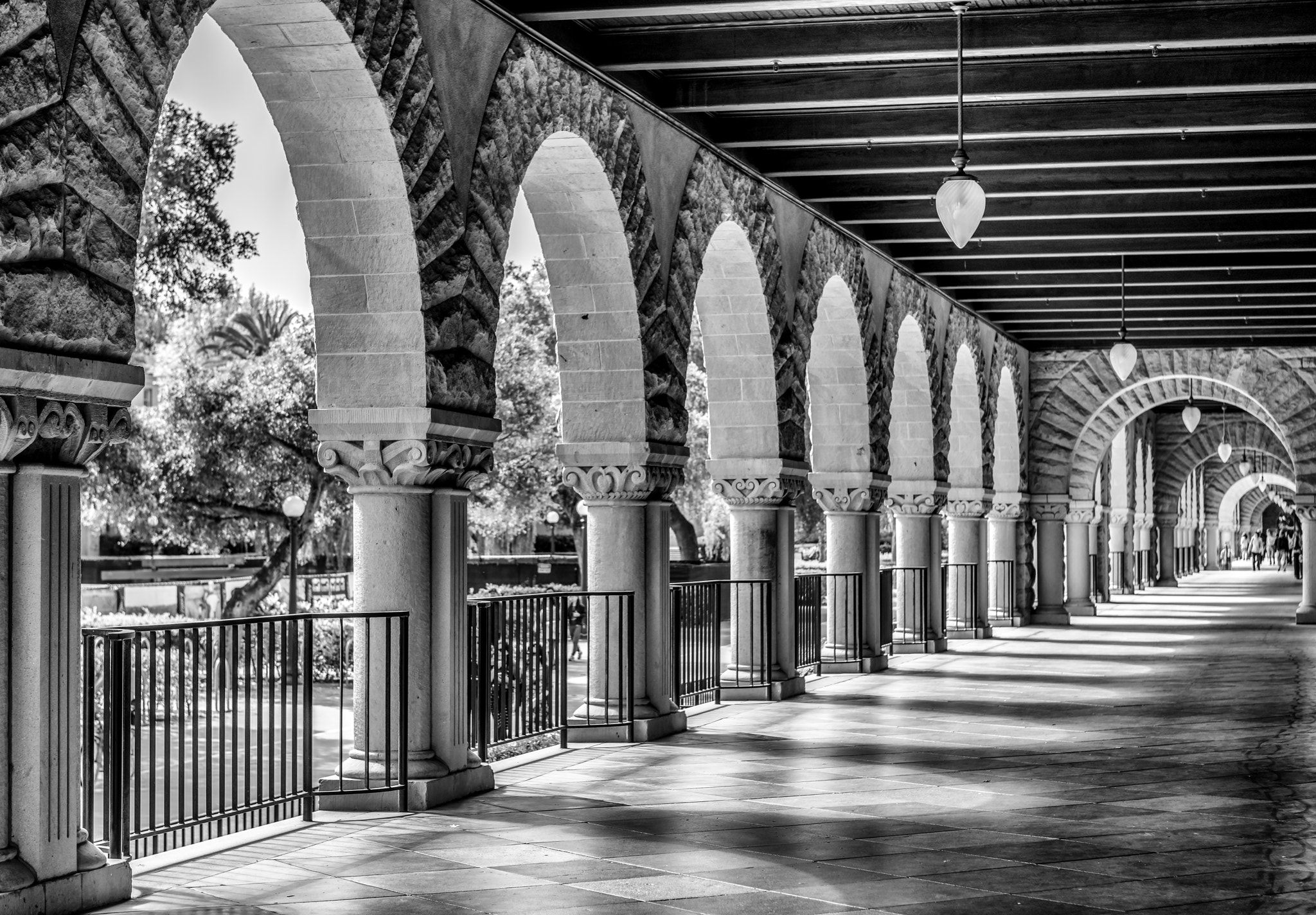 Sony a7R II + Canon EF 24-70mm F2.8L USM sample photo. Welcome to stanford photography