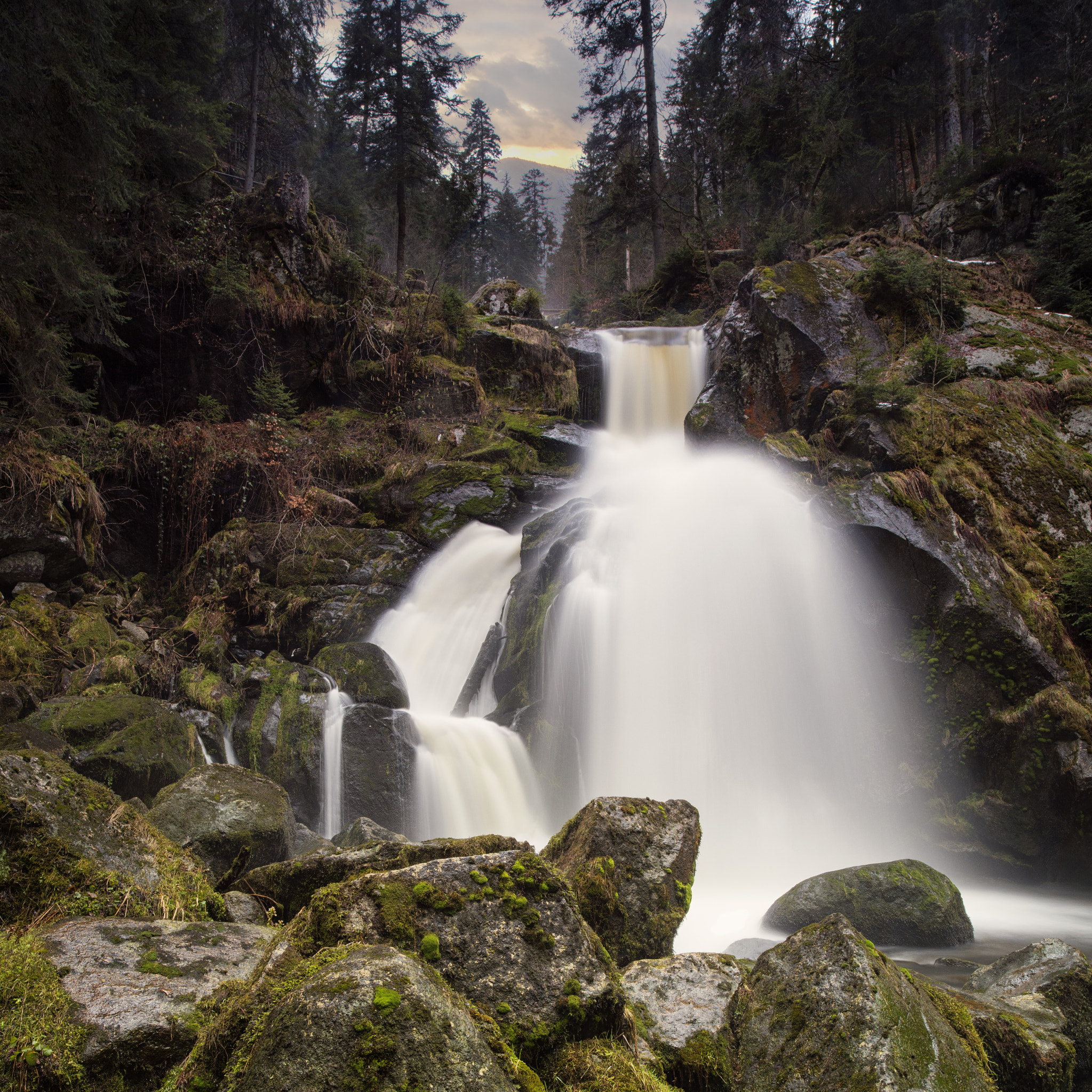 ZEISS Milvus 21mm F2.8 sample photo. Triberg waterfalls #2 photography