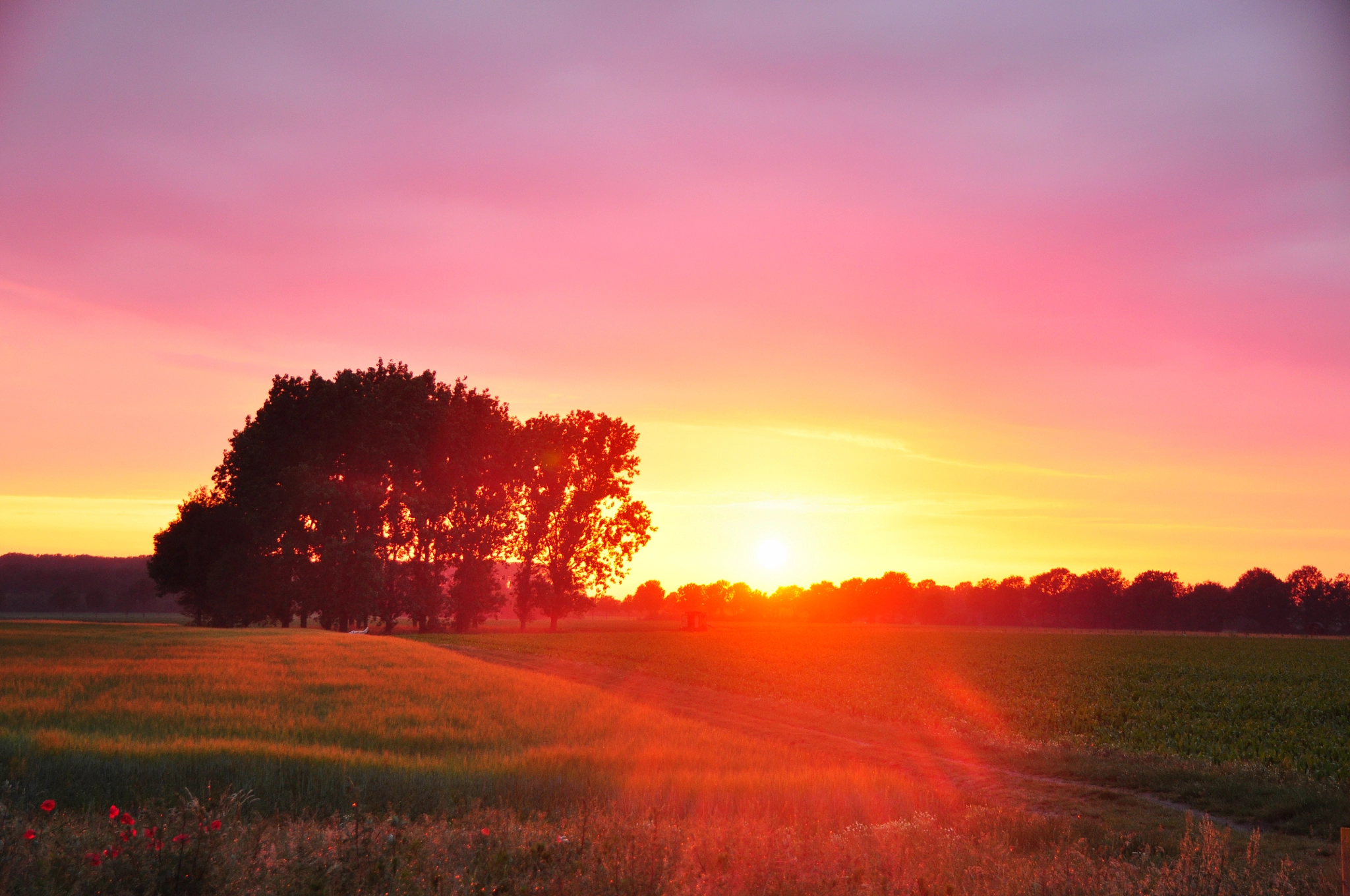 Nikon D90 + Sigma 18-125mm F3.8-5.6 DC OS HSM sample photo. Sunset photography