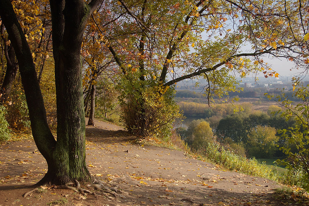 Pentax K110D sample photo. Colours of autumn. photography