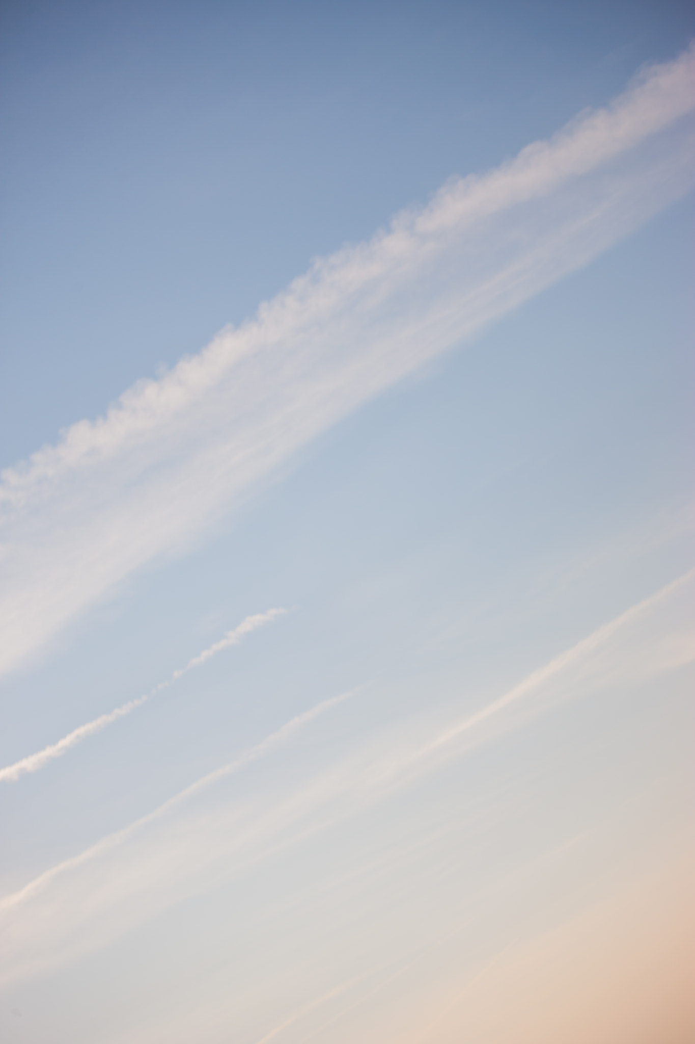 Canon EOS-1Ds Mark III sample photo. Imgl9729-2.jpg photography