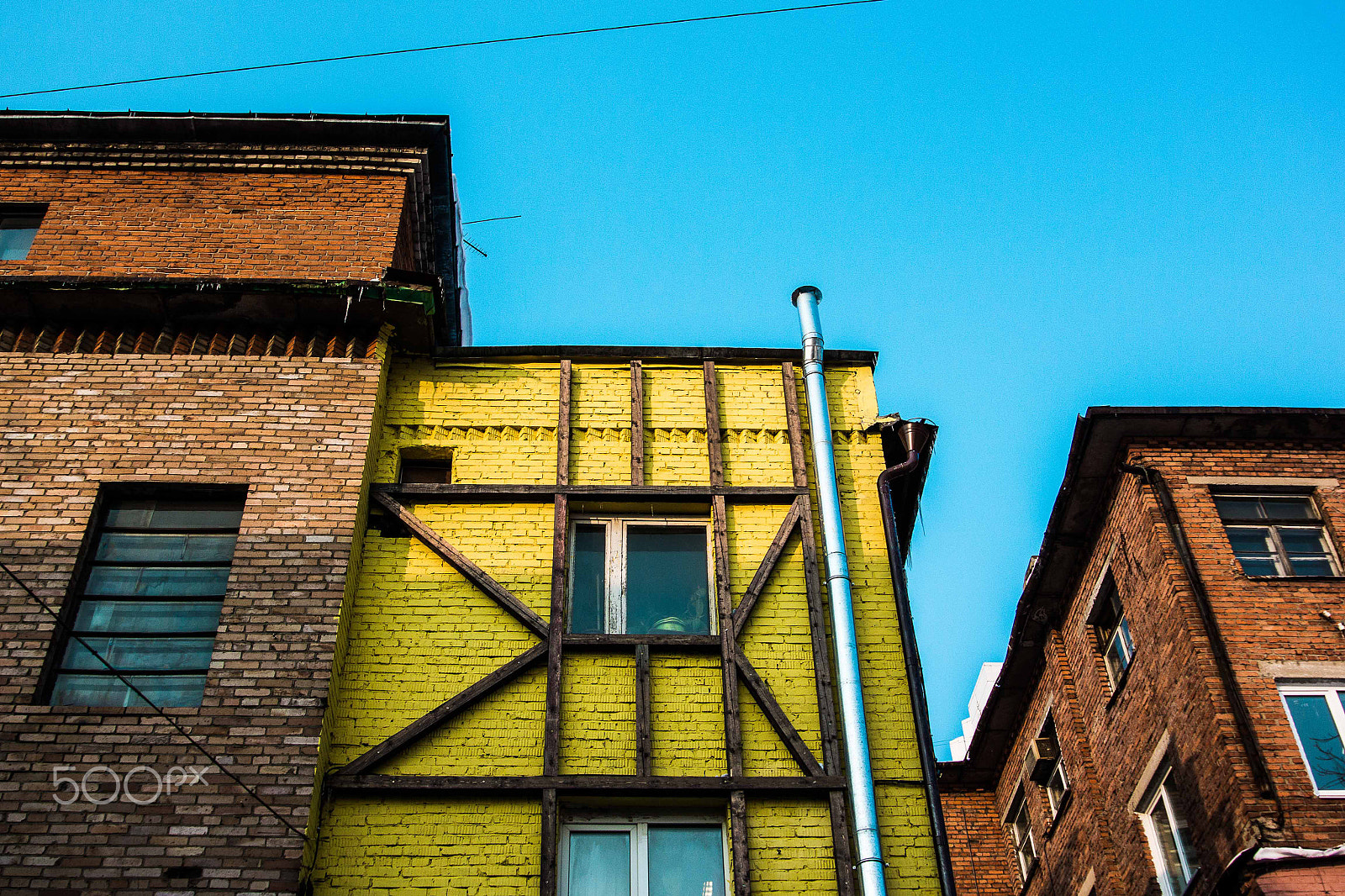 Nikon 1 V2 sample photo. Yellow photography