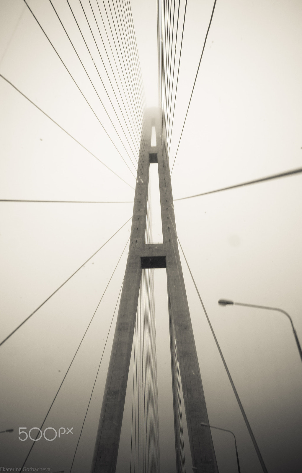 Nikon 1 V2 sample photo. Bridge photography