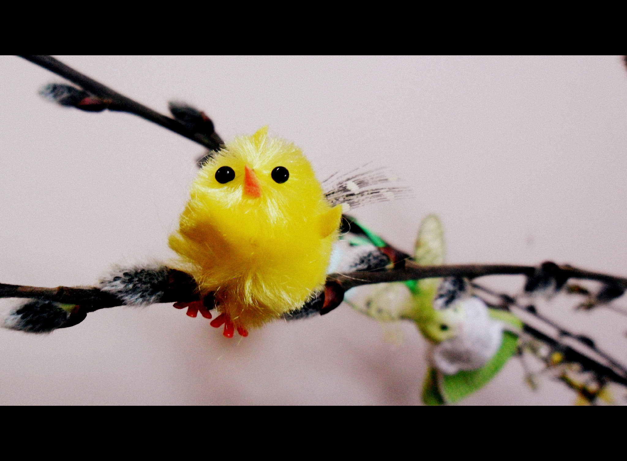 Samsung ES70, ES71 / VLUU ES70, ES71 /  SL600 sample photo. Happy easter! photography