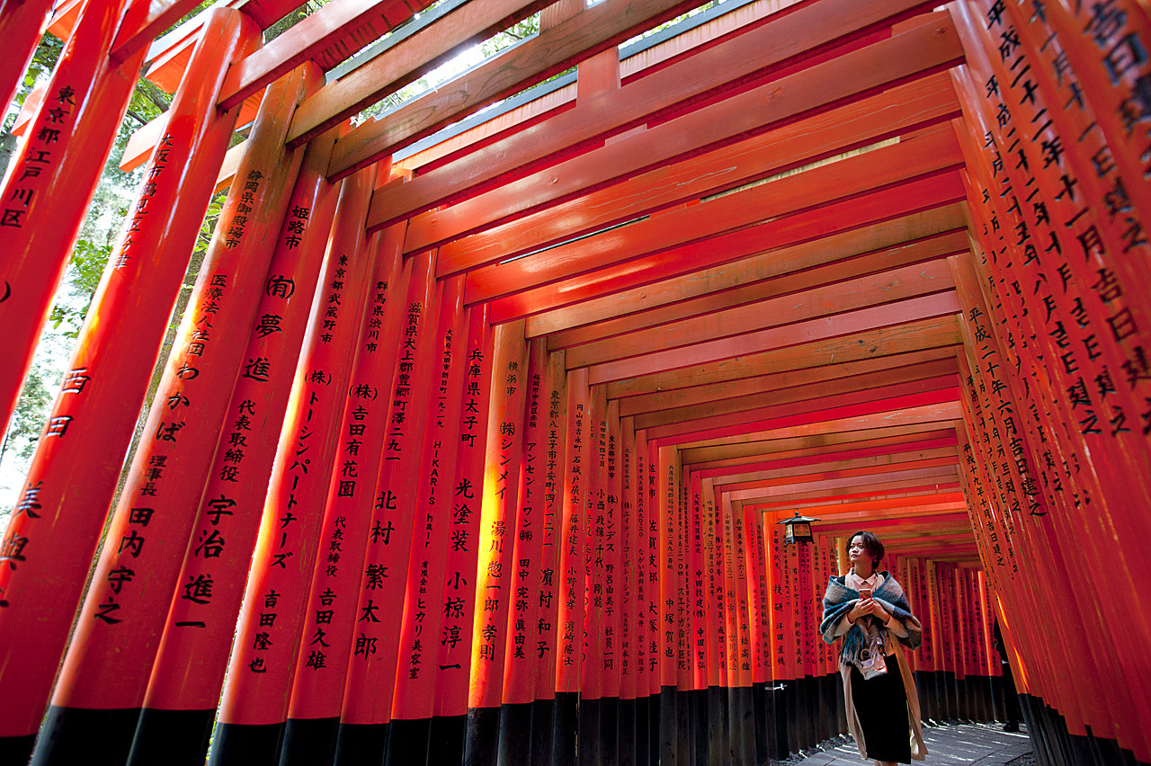 Nikon D700 + Nikon AF-S Nikkor 20mm F1.8G ED sample photo. Torii, kyoto, japan photography