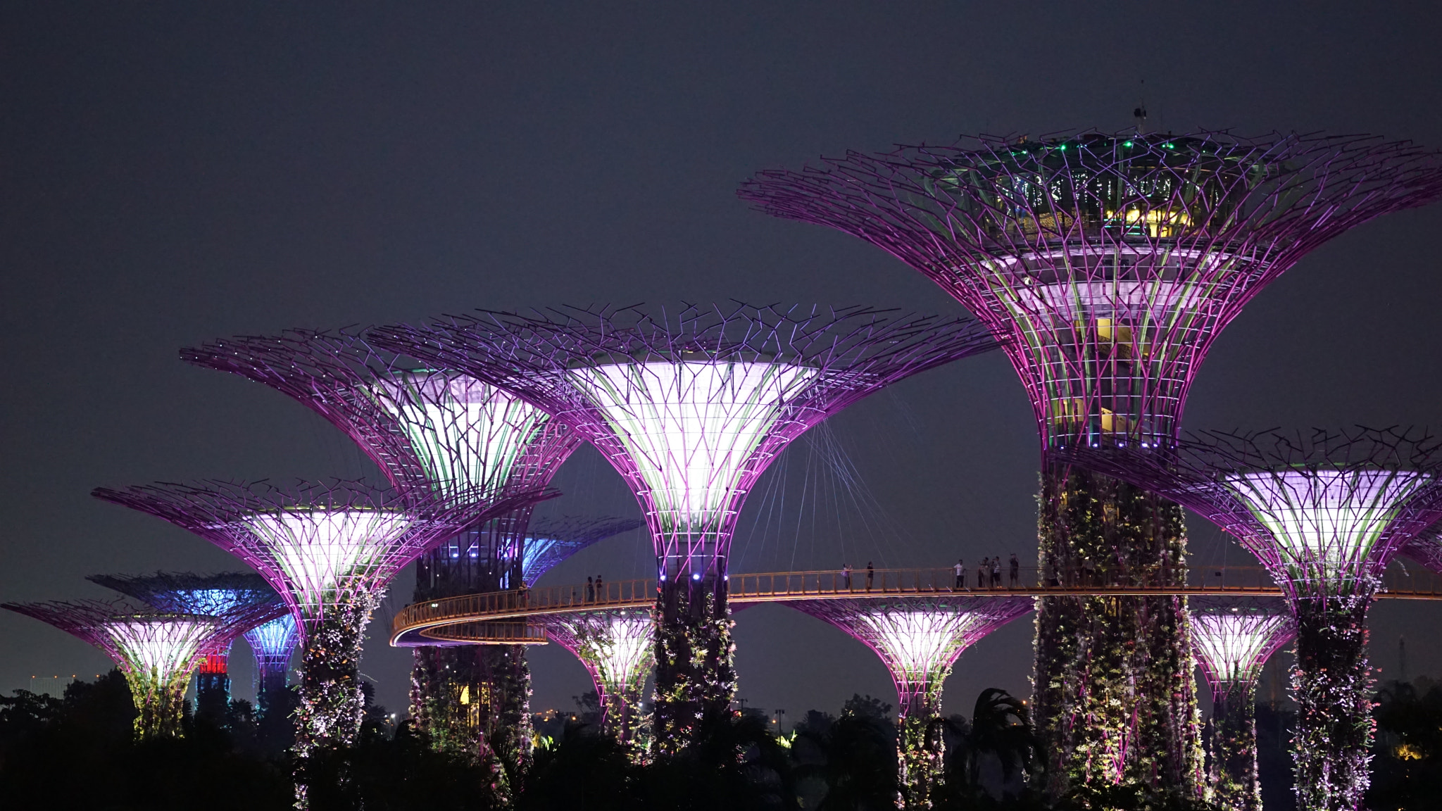 Sigma 60mm F2.8 DN Art sample photo. Super trees by night photography