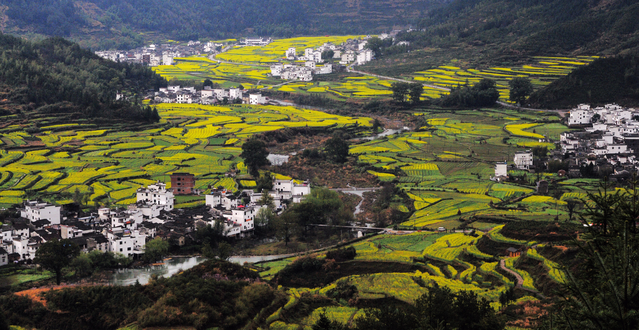 Nikon D300S + Nikon AF Micro-Nikkor 60mm F2.8D sample photo. Wuyuan，jiangxi photography