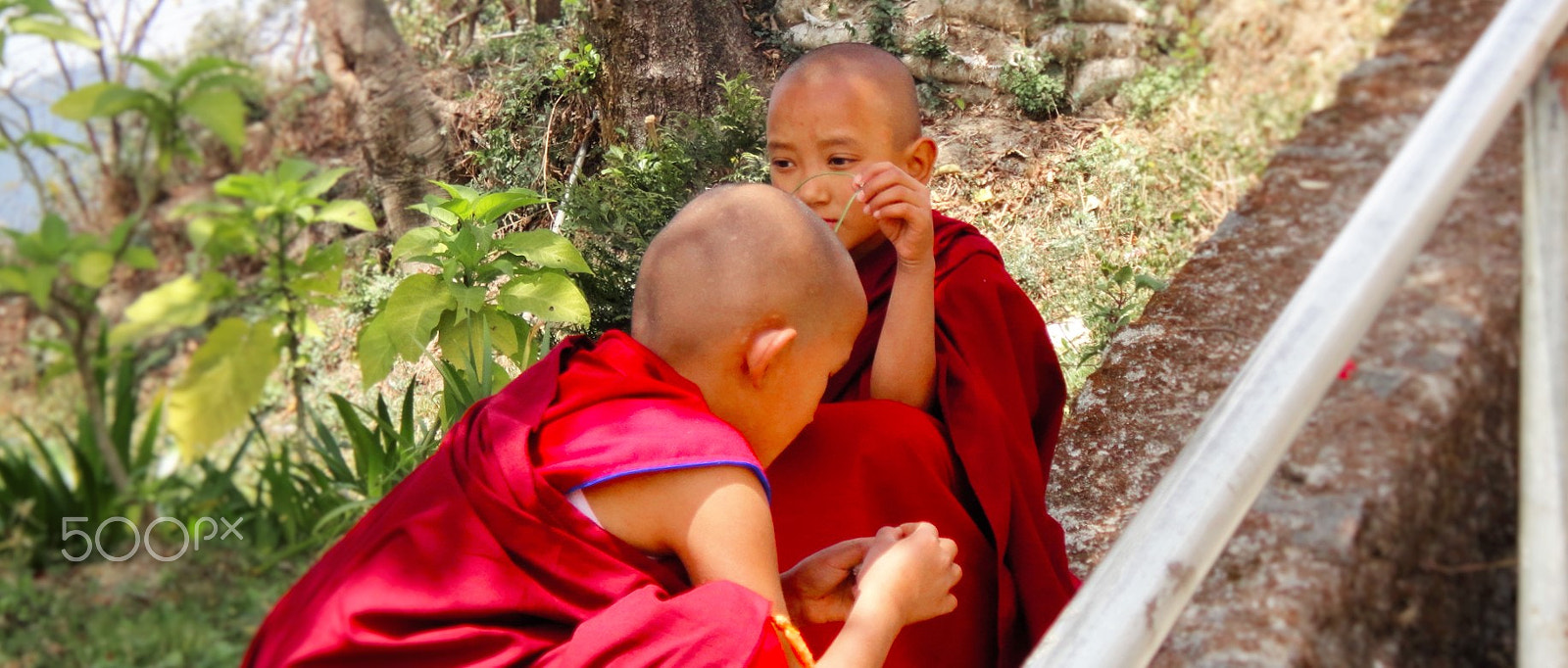 Sony DSC-T110 sample photo. Two nuns playing at shivapuri monastery. photography