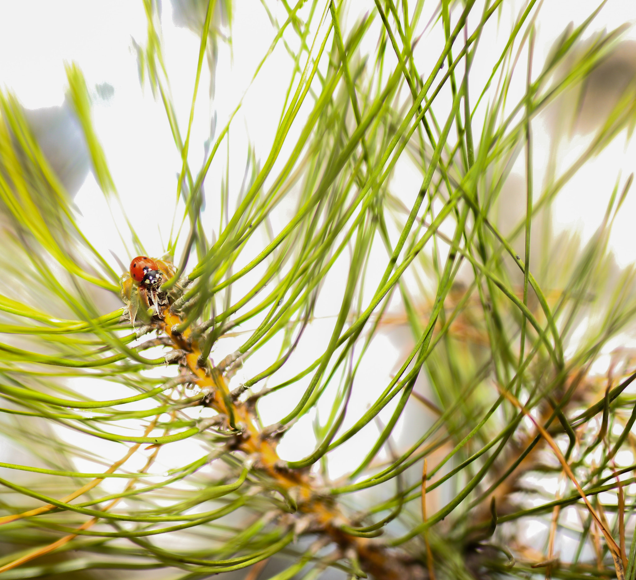 Canon EOS 5DS + ZEISS Milvus 50mm F1.4 sample photo