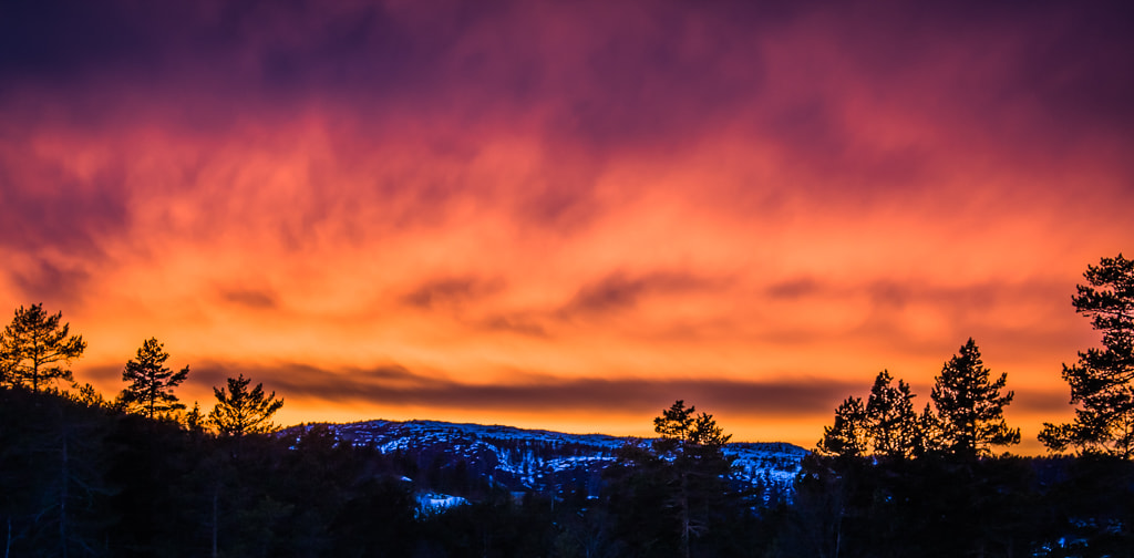 Canon EOS 450D (EOS Rebel XSi / EOS Kiss X2) sample photo. Winter sunset in norway photography