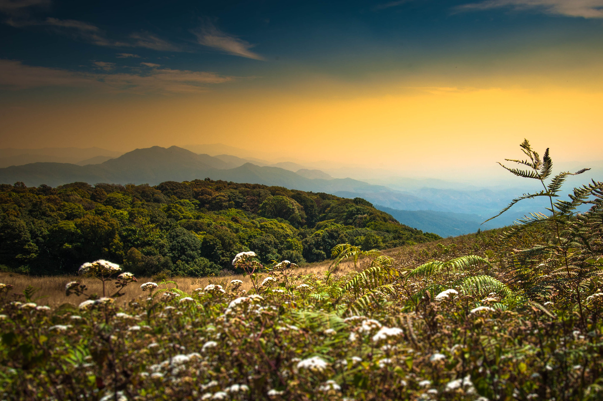 Nikon D3 + Nikon AF-S Nikkor 20mm F1.8G ED sample photo. Chiangmai thailand photography