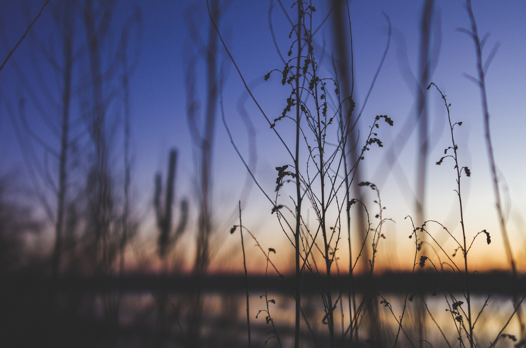 Leica T (Typ 701) + Summicron T 1:2 23 ASPH. sample photo. Sunset in north quincy, ma. photography