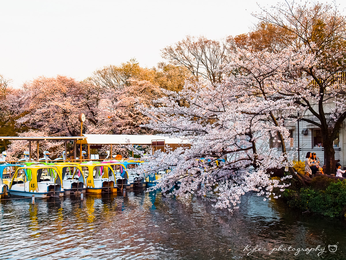 Olympus E-30 sample photo. 井之頭公園 photography