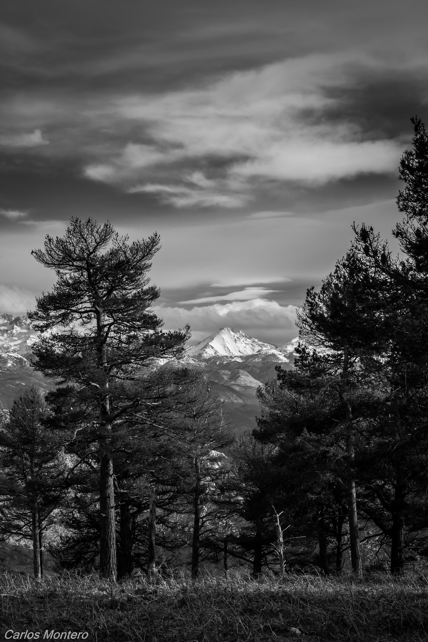 Sigma 18-125mm F3.8-5.6 DC OS HSM sample photo. Cantu cabroneru photography