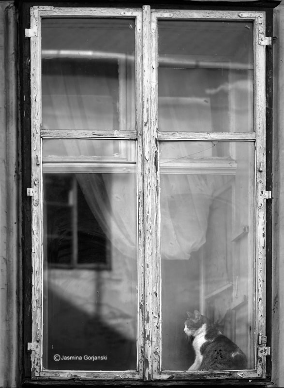Olympus E-5 + OLYMPUS 50mm Lens sample photo. At the window photography