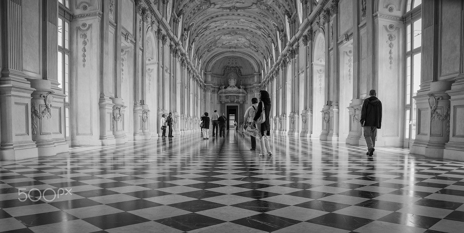 Nikon D60 sample photo. Room for a king... photography