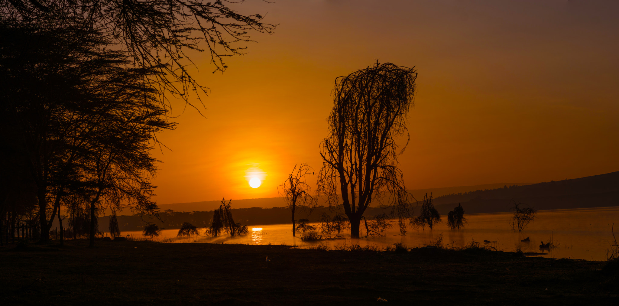 Samsung NX1 + Samsung NX 85mm F1.4 ED SSA sample photo. Lake oloiden sunrise - naivasha kenya photography