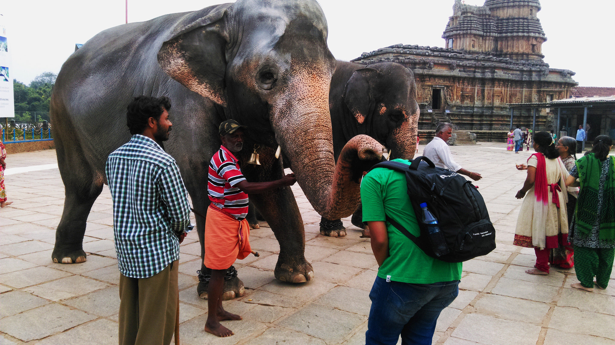 HTC 0P9C8 sample photo. Elephant blessing me photography