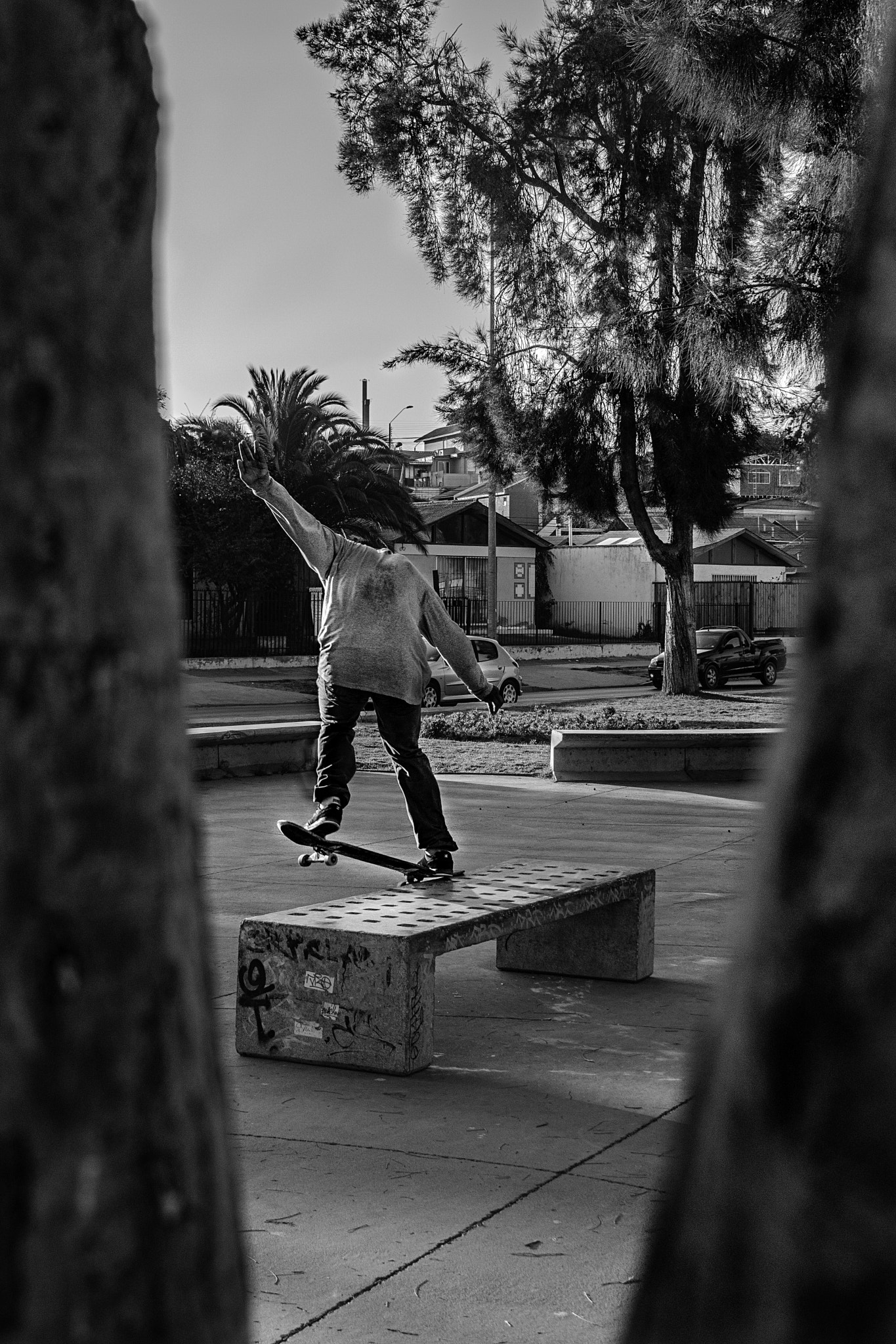 Canon EOS 750D (EOS Rebel T6i / EOS Kiss X8i) sample photo. Bs crooked photography