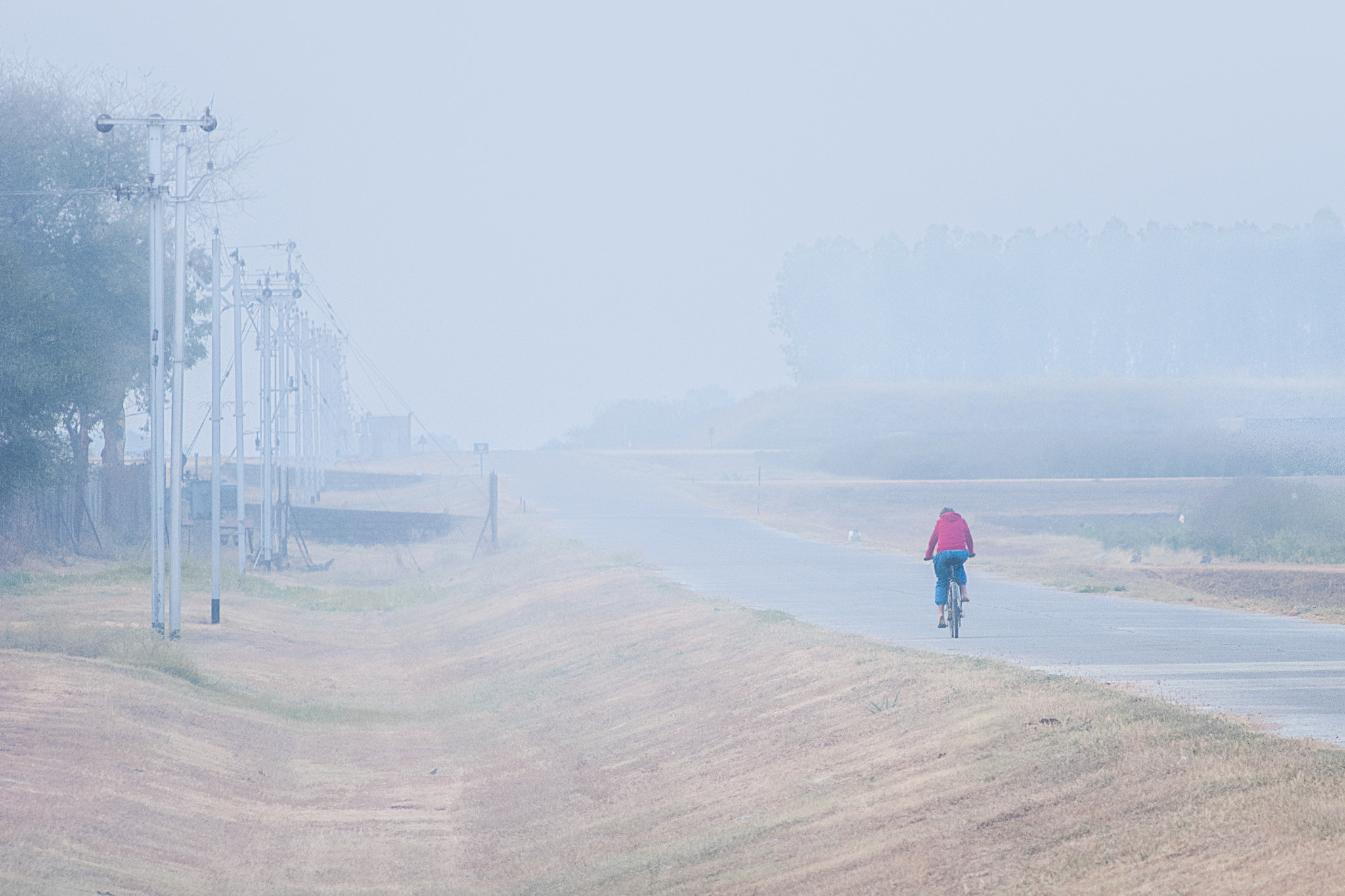 Nikon D40X sample photo. Winter.. misty morning photography