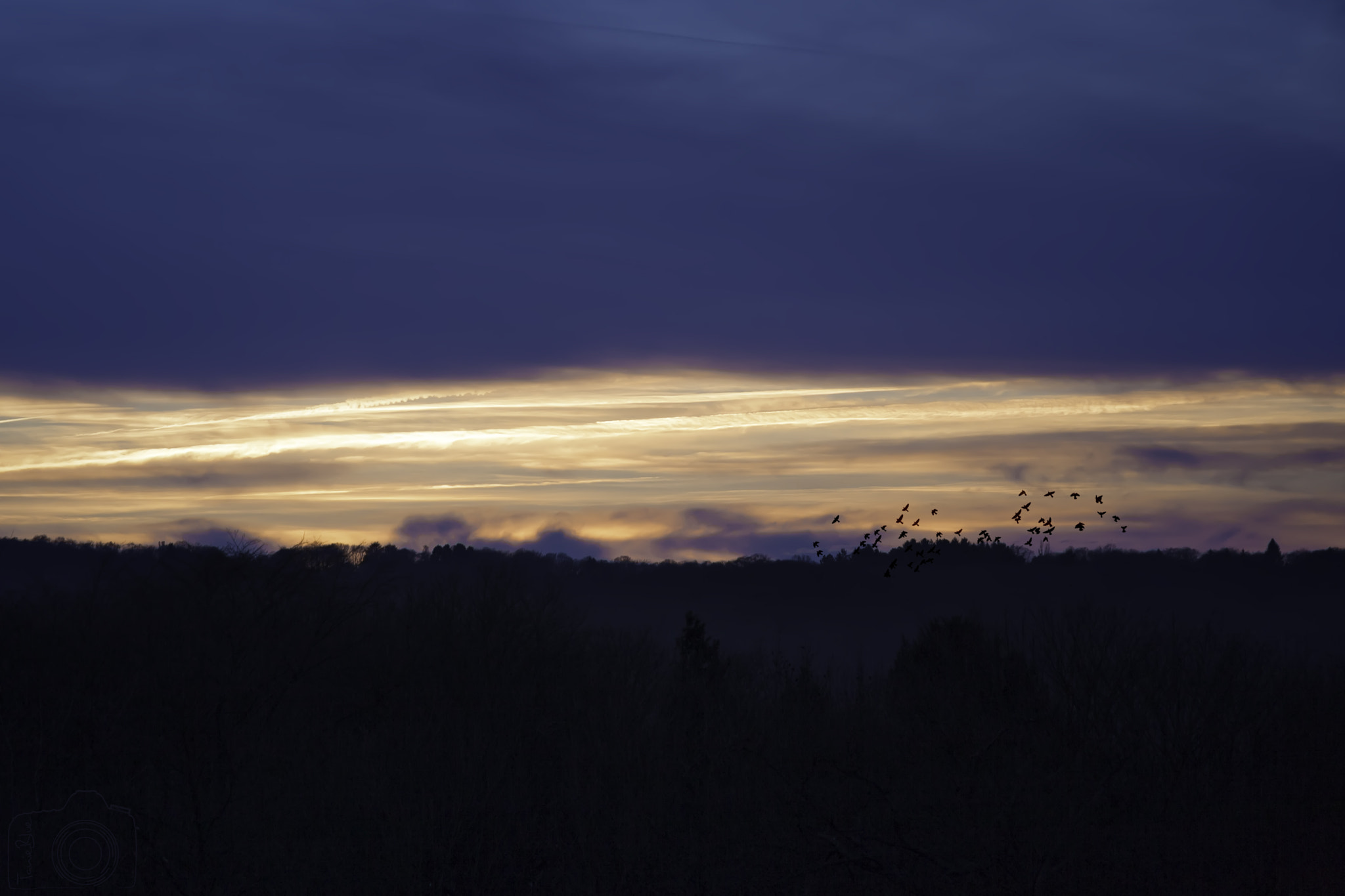 Sigma 24-105mm f/4 DG OS HSM | A sample photo. ☼ ☼ ☼ photography