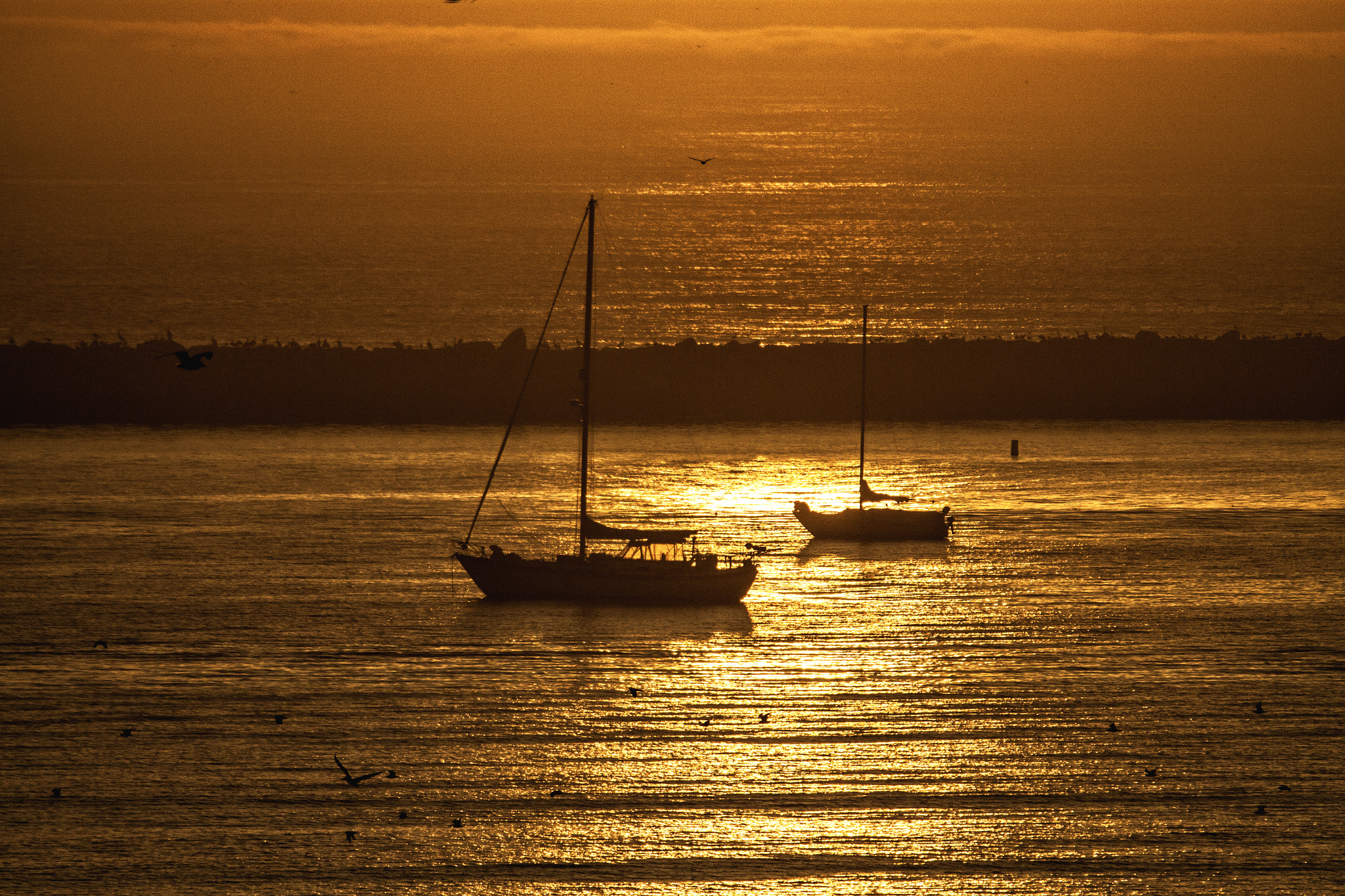 Canon EF 100-400mm F4.5-5.6L IS USM sample photo. Safe harbor photography
