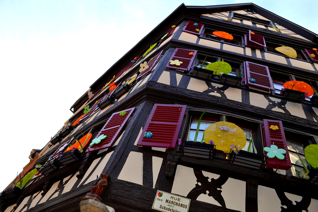 AU VIEUX PIGNON DAY by Mickaël Hatstatt on 500px.com