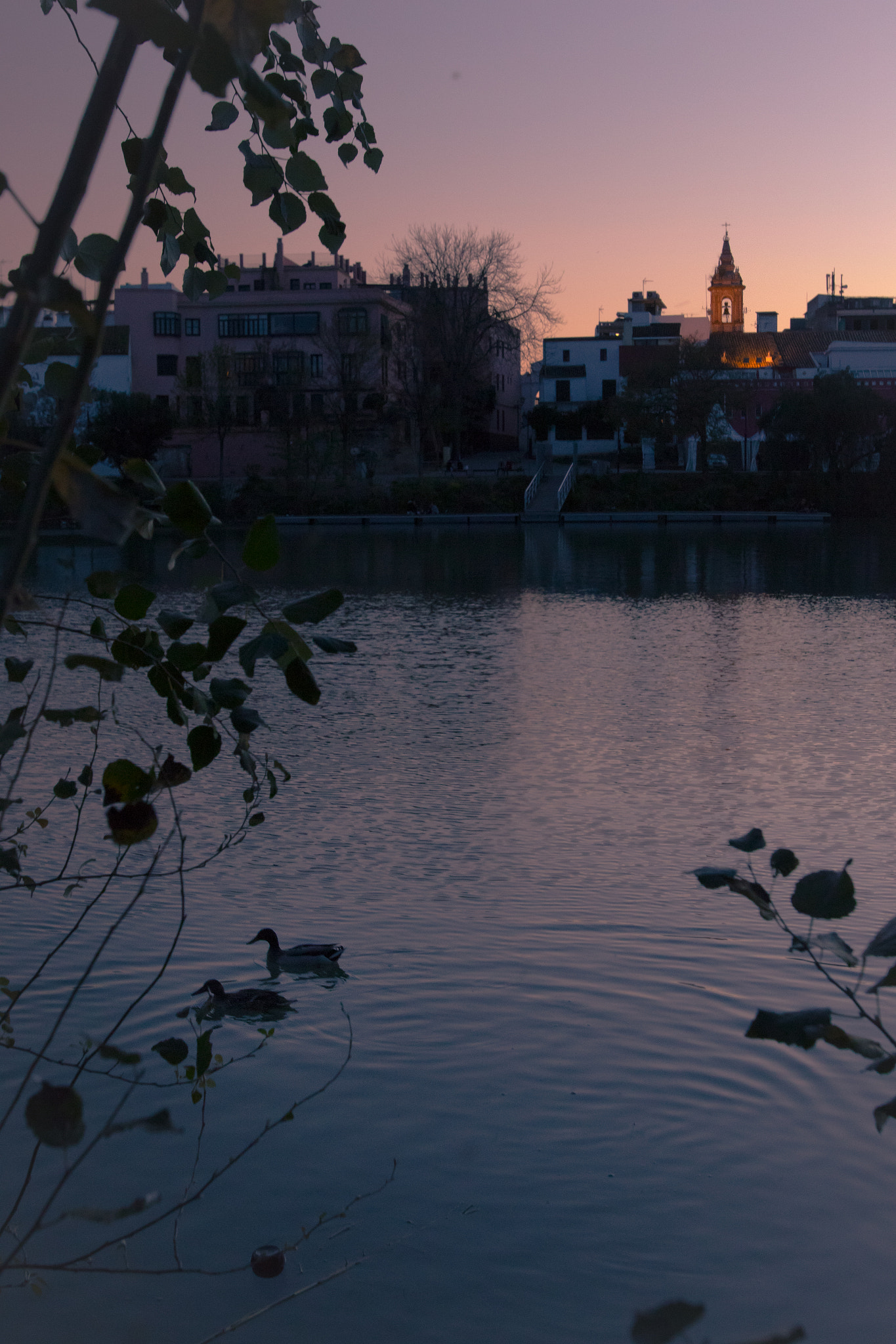 Canon EOS 7D Mark II + Canon EF 16-35mm F2.8L USM sample photo. Sevilla afternoon photography