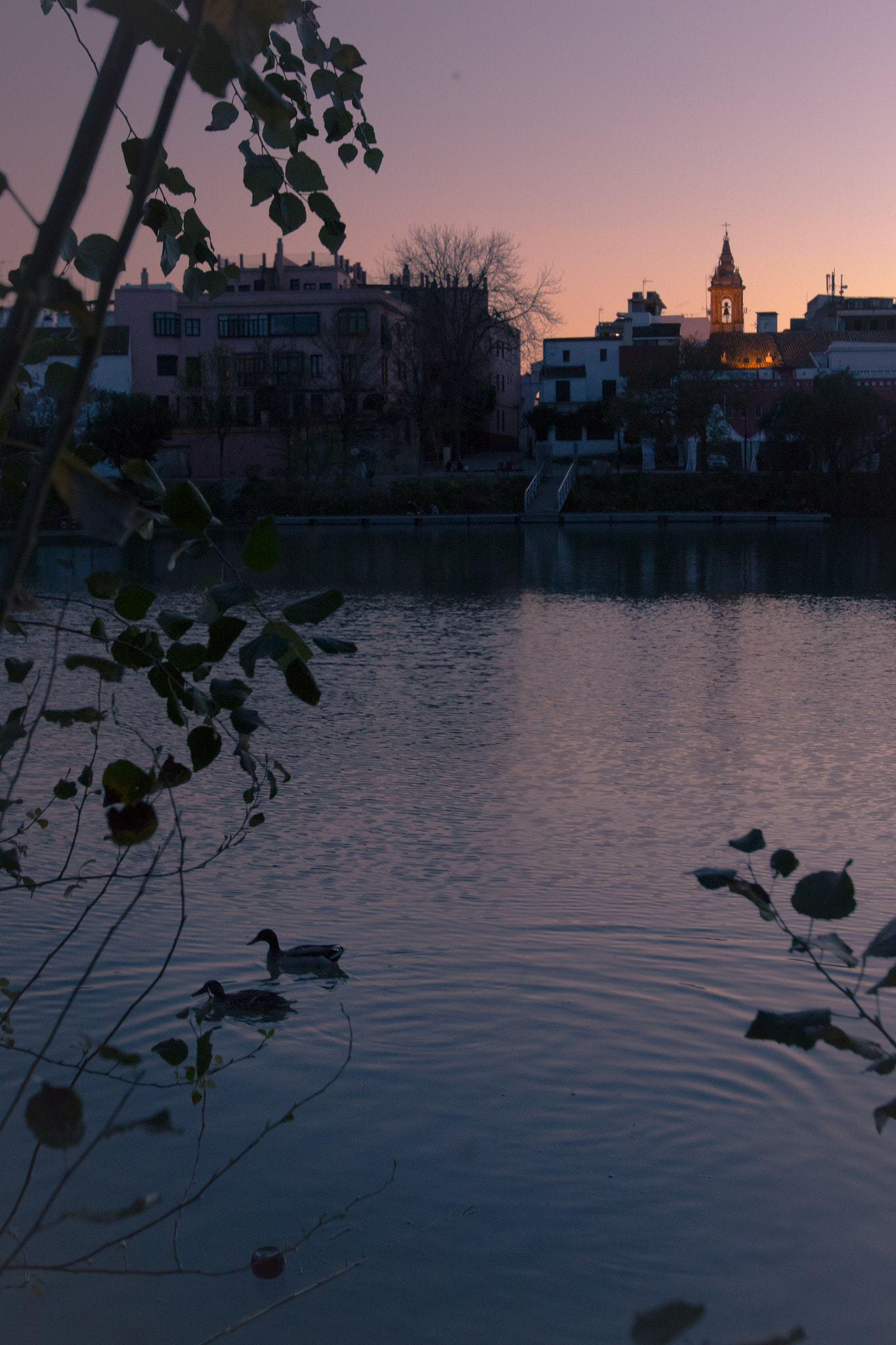 Canon EF 16-35mm F2.8L USM sample photo. Sevilla afternoon photography