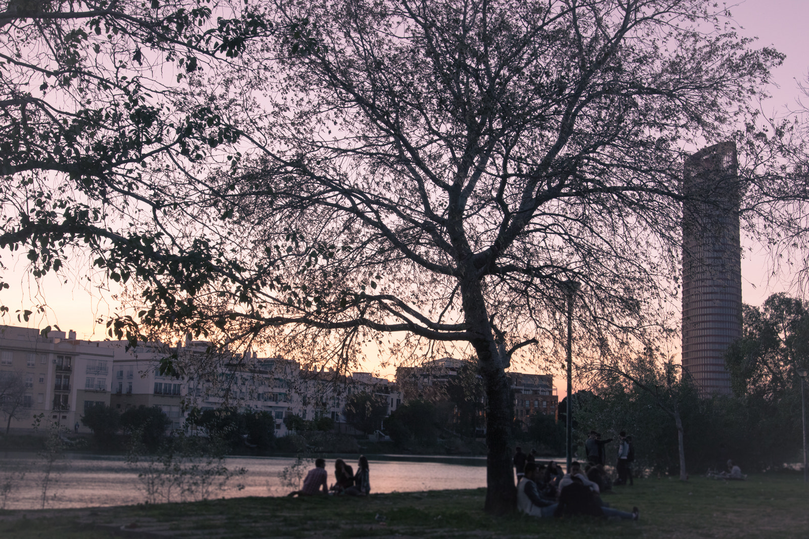 Canon EF 16-35mm F2.8L USM sample photo. Sevilla afternoon photography