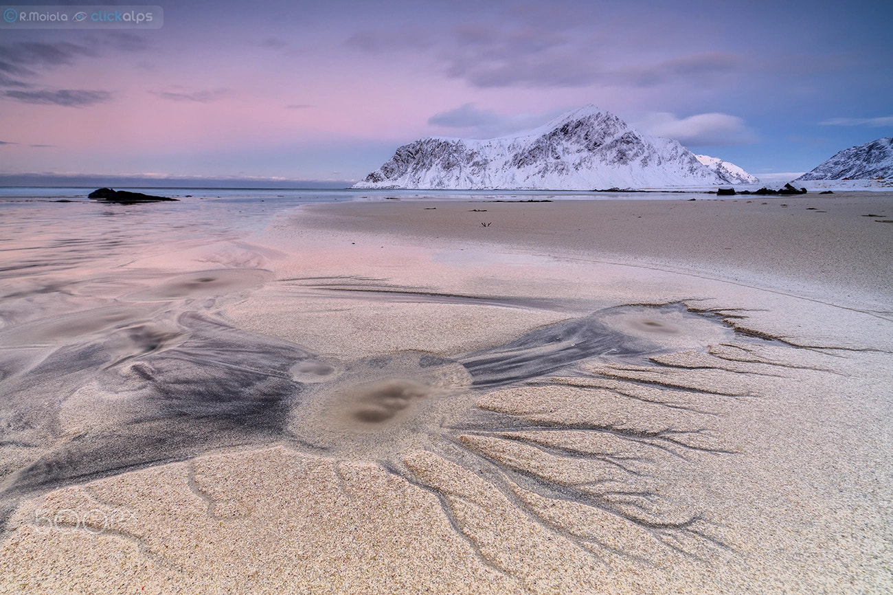 Canon EOS 5DS sample photo. Spider beach photography