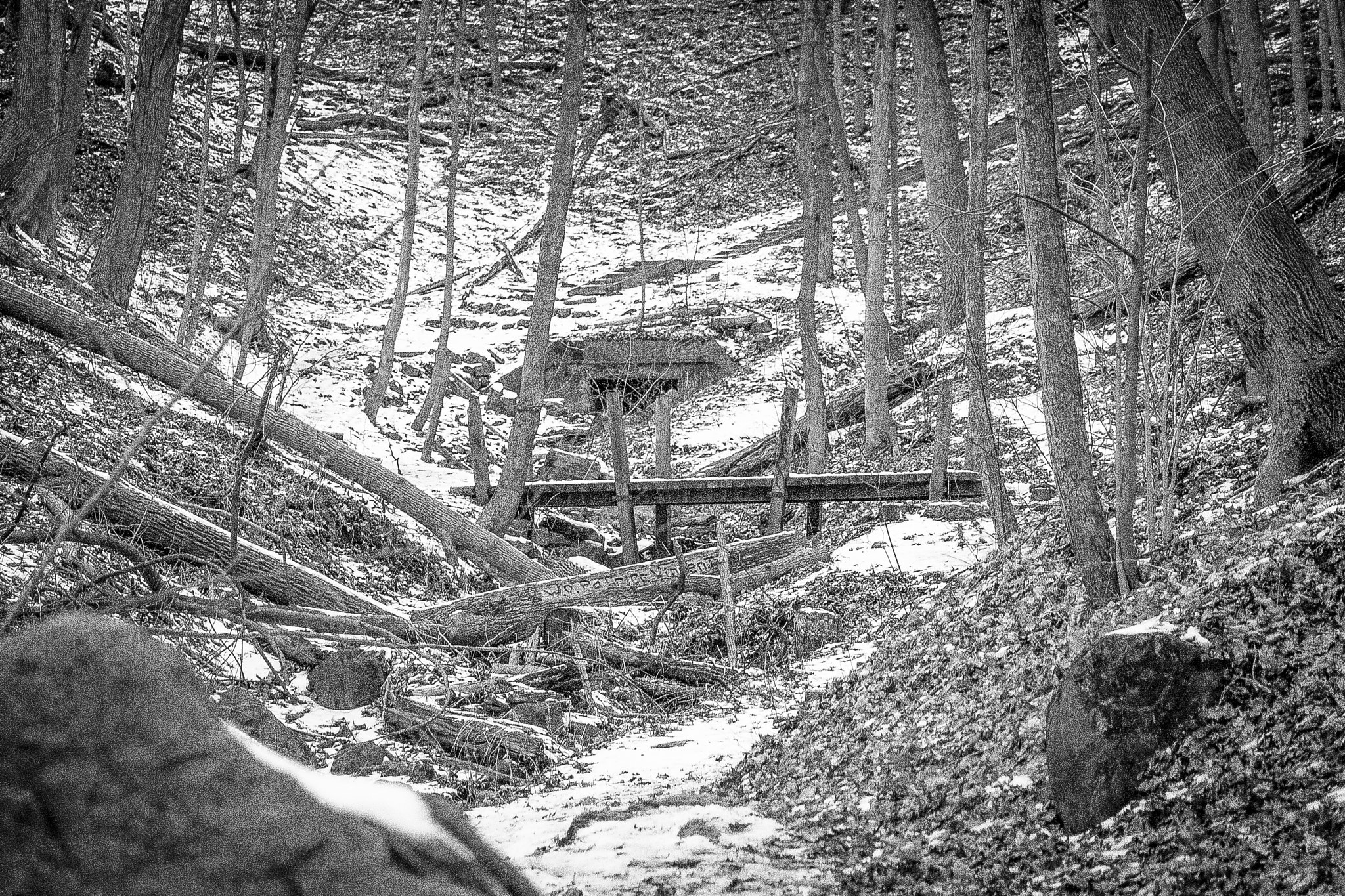 Canon EF 75-300mm f/4-5.6 USM sample photo. Walking to the gorge photography