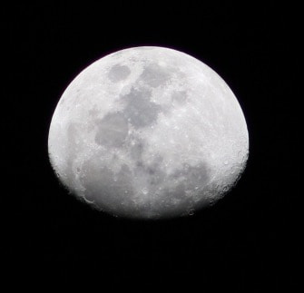 Canon EF75-300mm f/4-5.6 sample photo