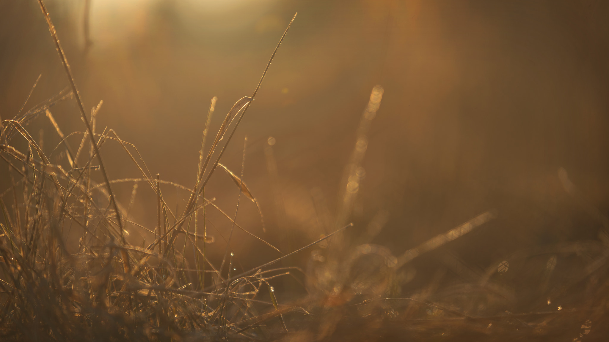 AF-S Zoom-Nikkor 80-200mm f/2.8D IF-ED sample photo. Sunrise- allentsteig (austria) photography