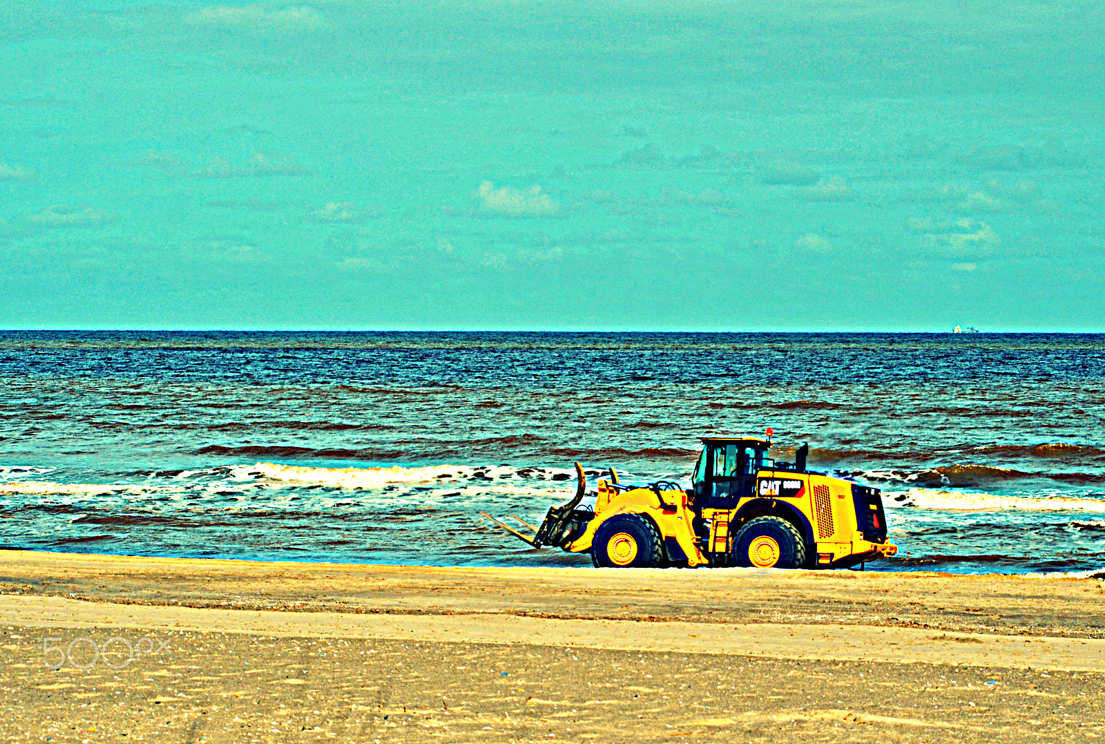 Nikon D5100 + Sigma 70-300mm F4-5.6 APO Macro Super II sample photo. Cat on the beach photography