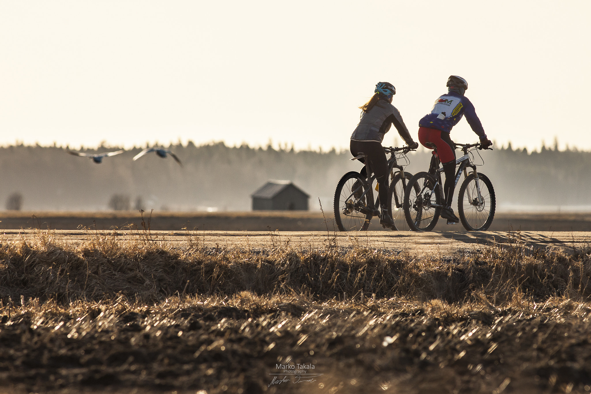 Canon EOS 5D Mark II + Canon EF 400mm F5.6L USM sample photo. Spring photography