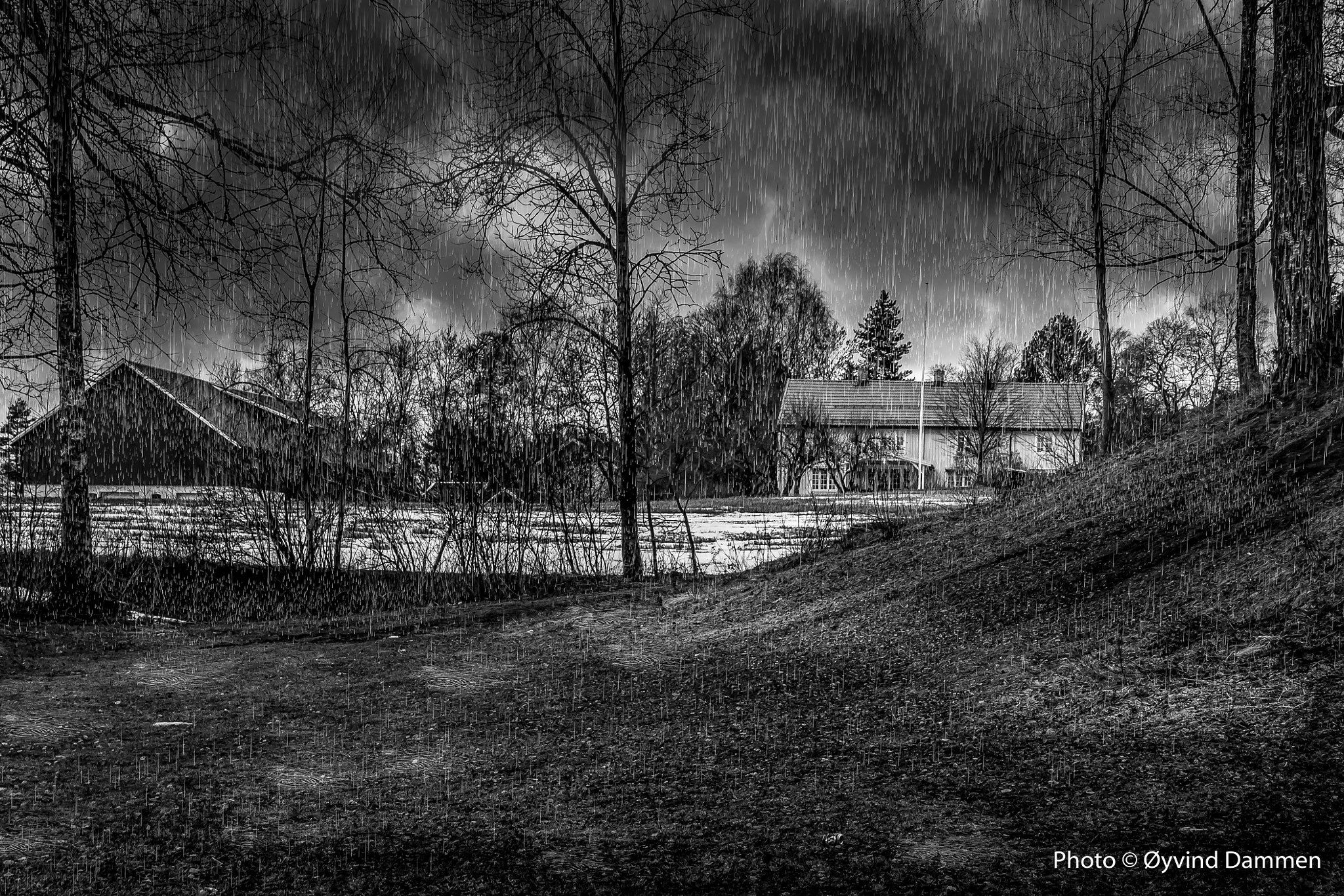Canon EOS 450D (EOS Rebel XSi / EOS Kiss X2) sample photo. Farm in rain photography