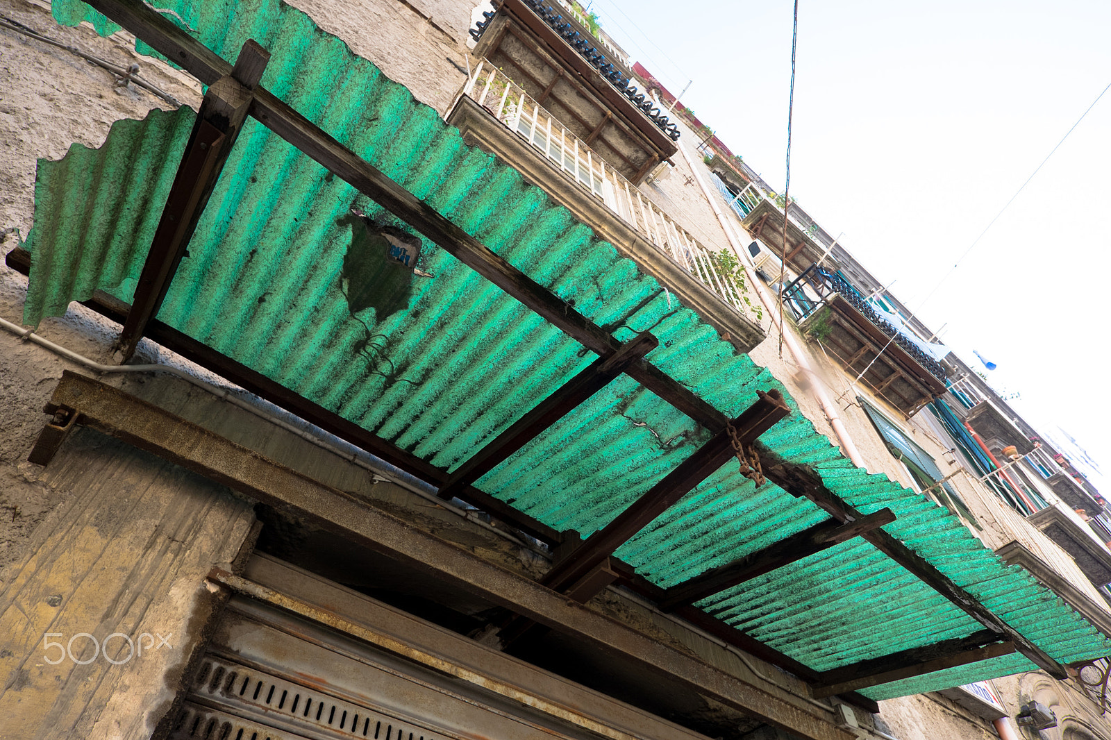 ZEISS Touit 12mm F2.8 sample photo. Canopy photography