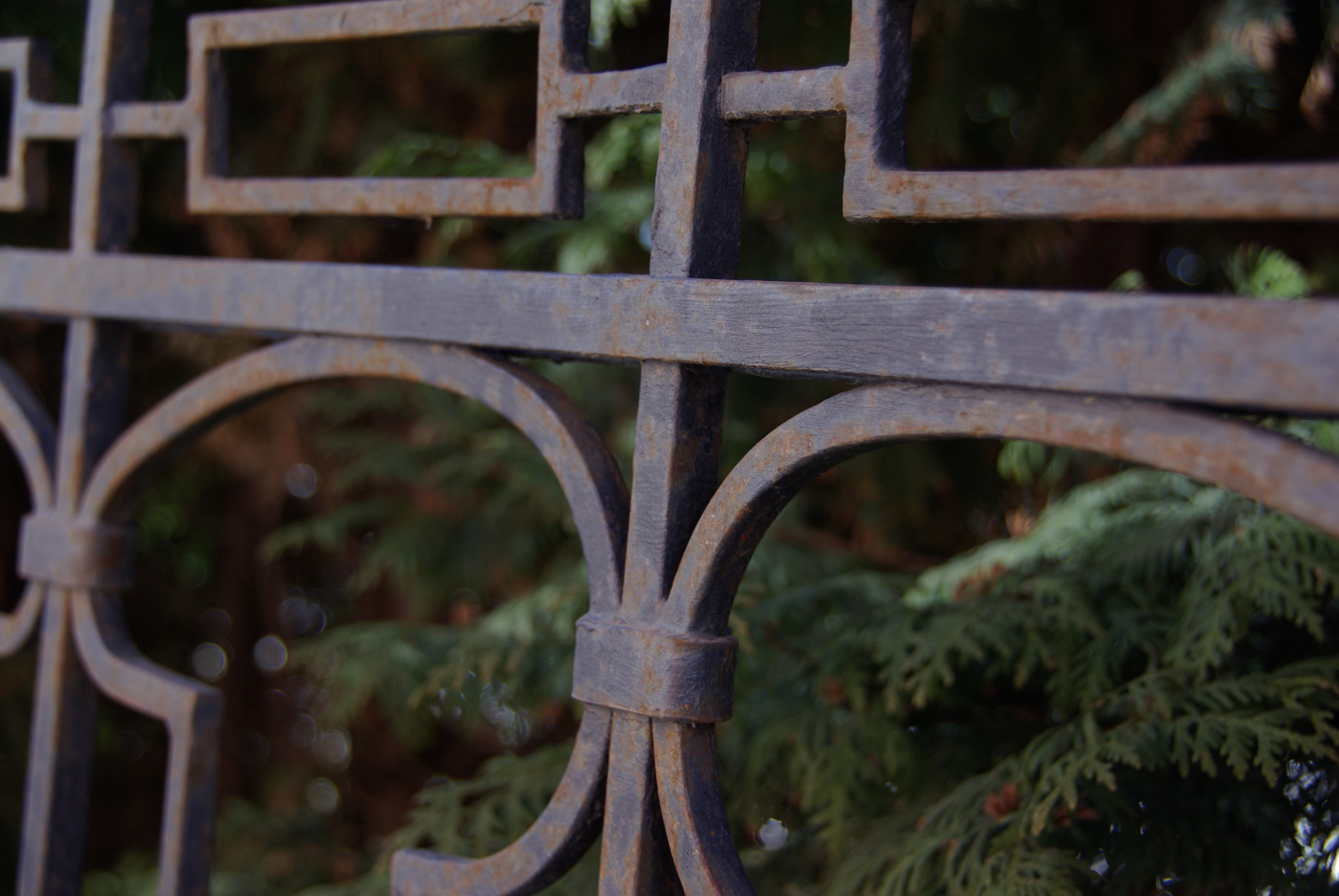 Pentax K10D sample photo. 43.jpg photography