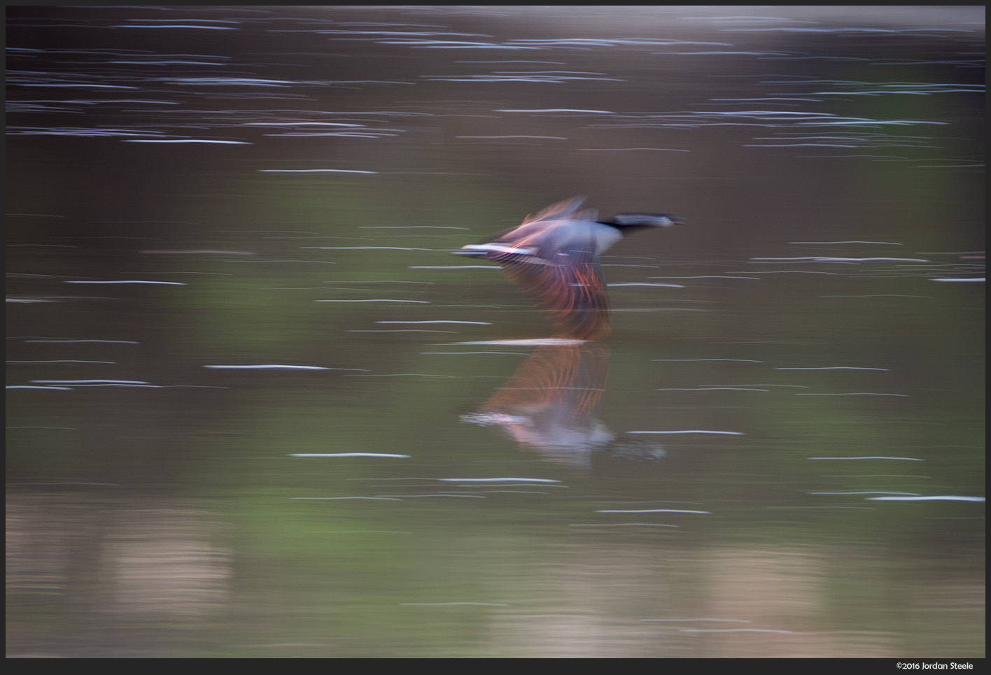 Olympus PEN-F sample photo. Flying photography