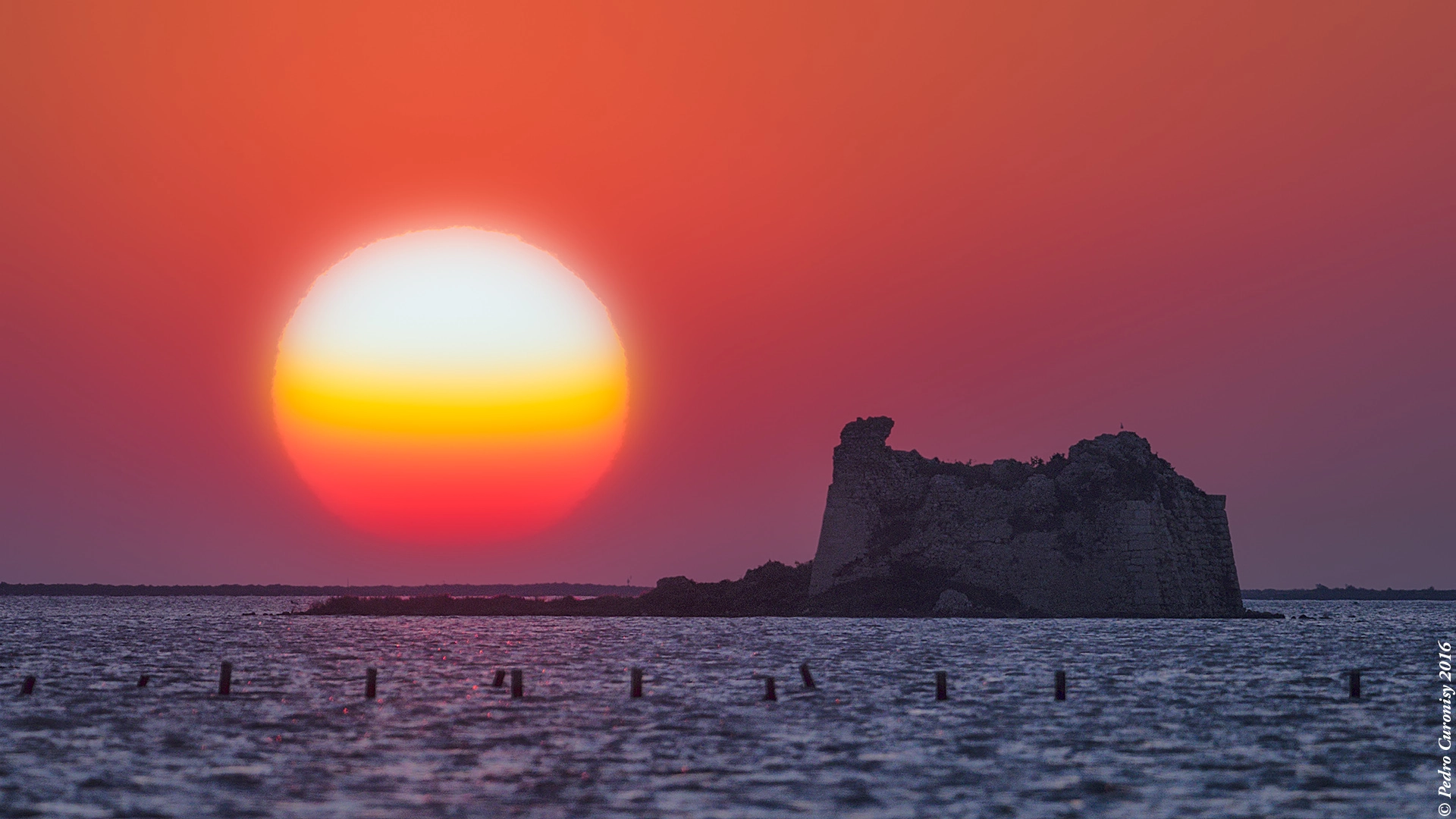 Olympus OM-D E-M1 + M.300mm F4.0 + MC-14 sample photo. Torre de sant joan photography