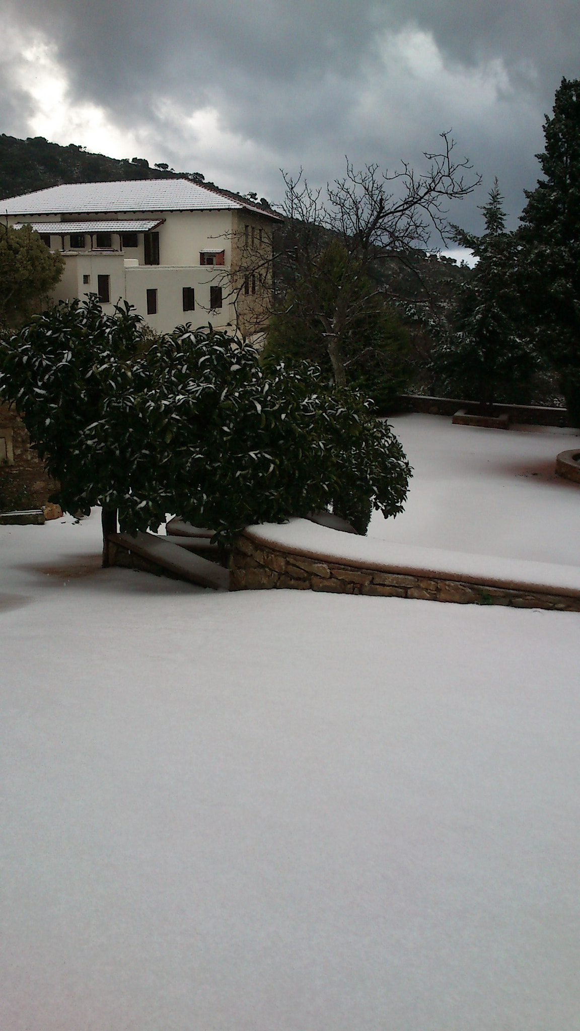 Sony Ericsson Xperia neo V sample photo. 731.jpg photography