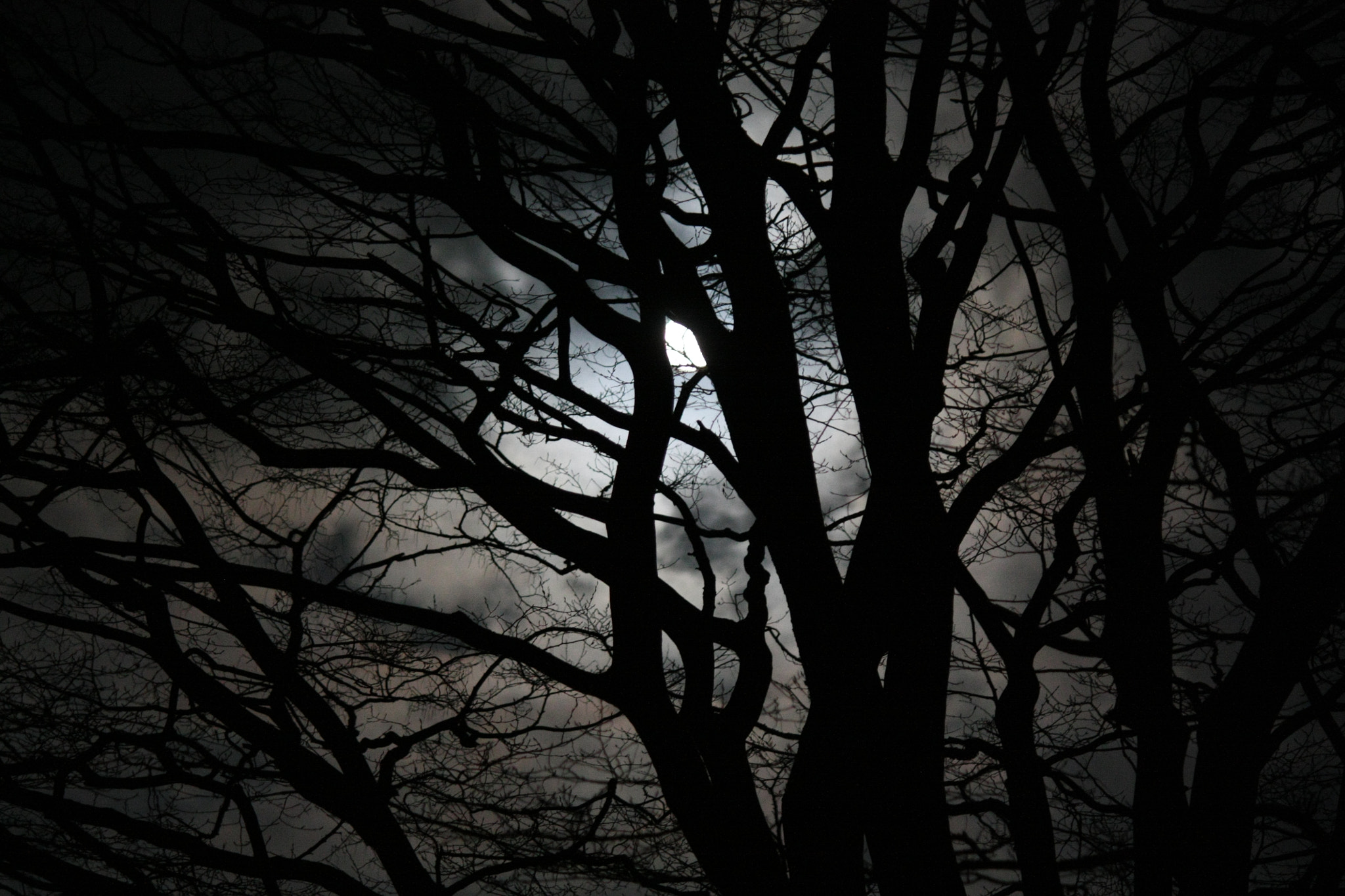 Canon EOS 450D (EOS Rebel XSi / EOS Kiss X2) sample photo. Sleepy hollow? photography