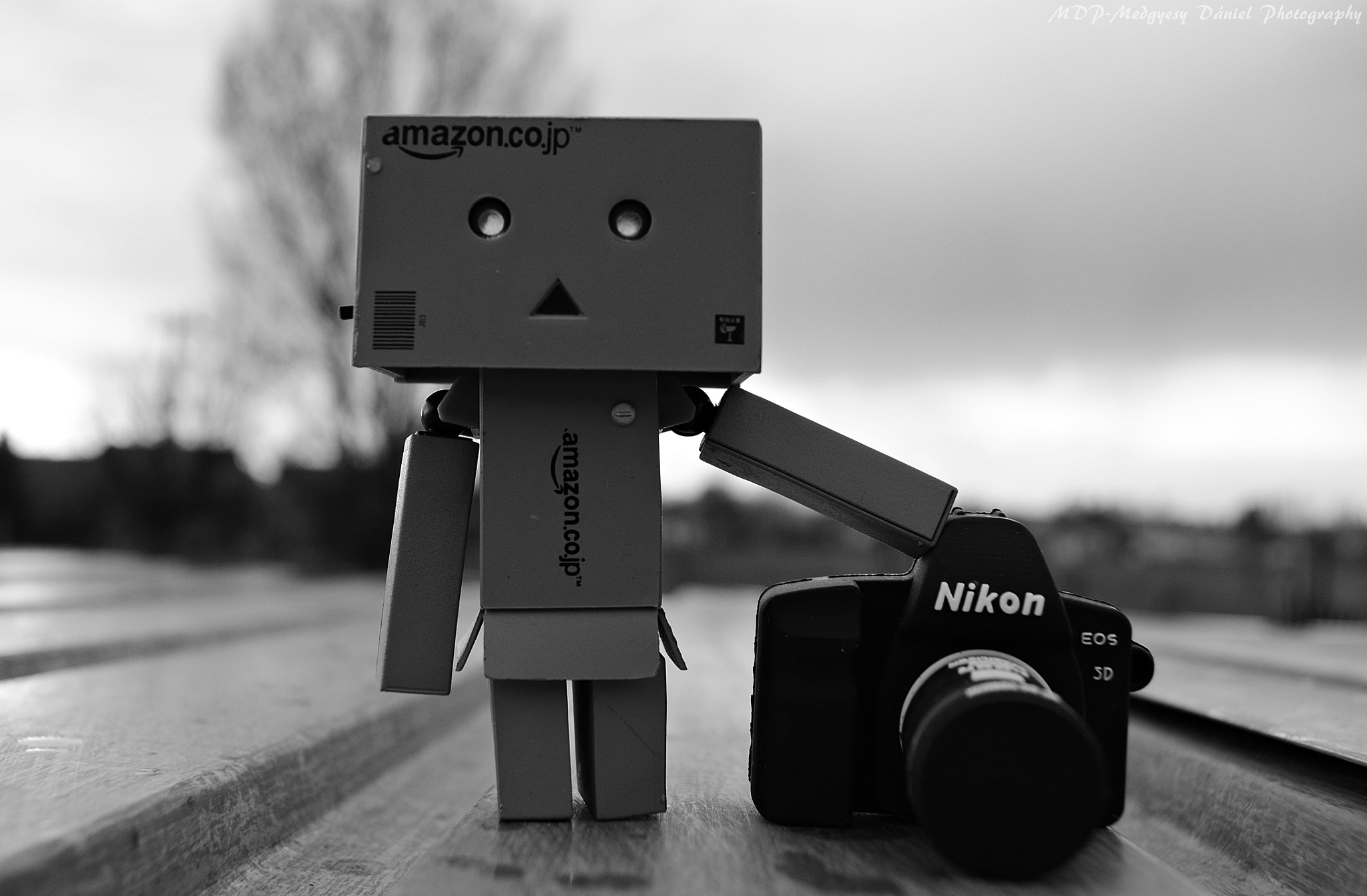 Nikon D5100 + AF-S DX Zoom-Nikkor 18-55mm f/3.5-5.6G ED sample photo. Danbo take pictures with nikon photography