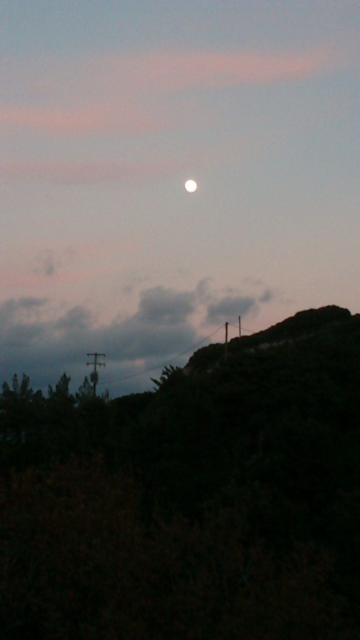 Sony Ericsson Xperia neo V sample photo. 047.jpg photography