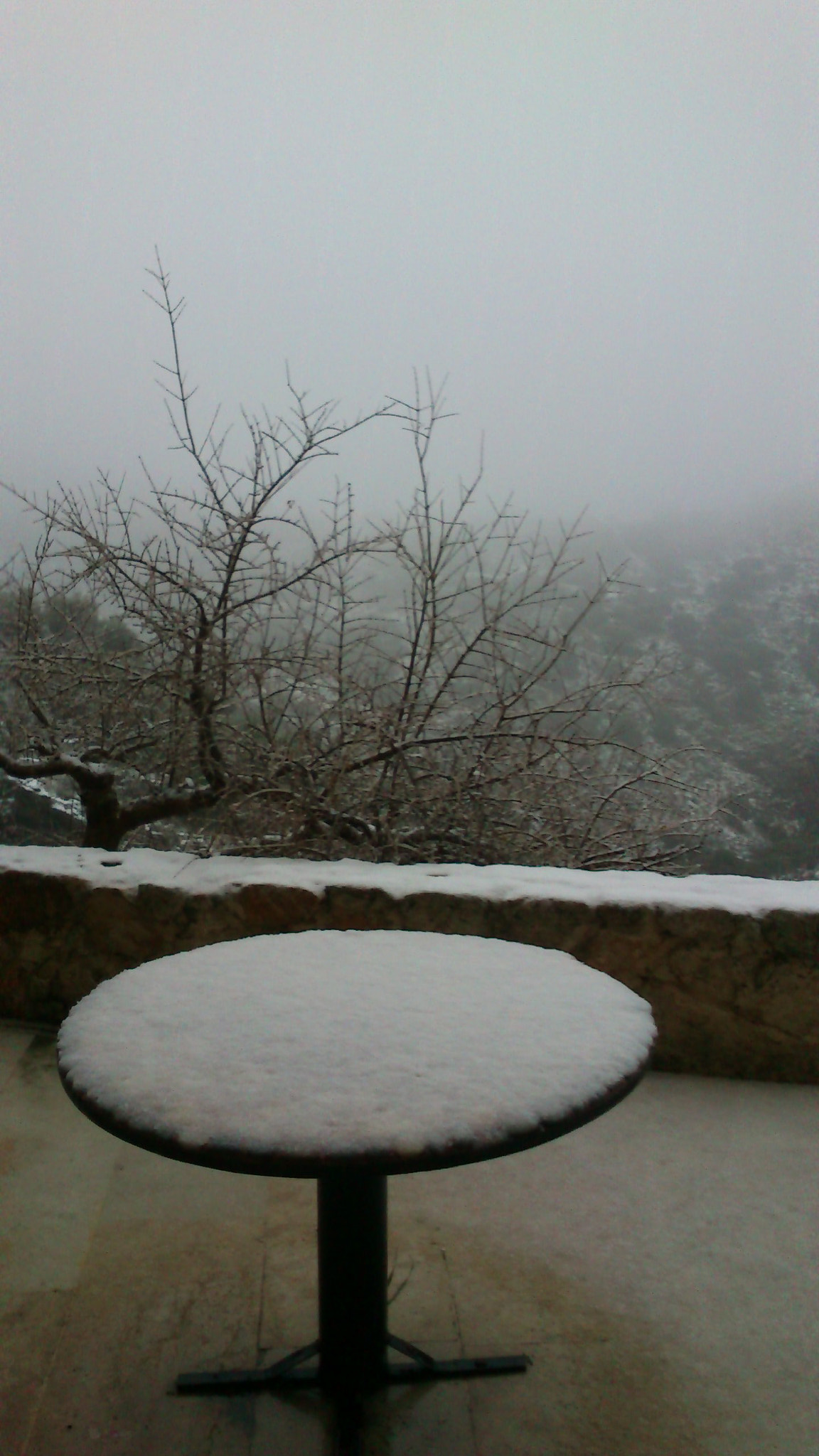 Sony Ericsson Xperia neo V sample photo. 715.jpg photography