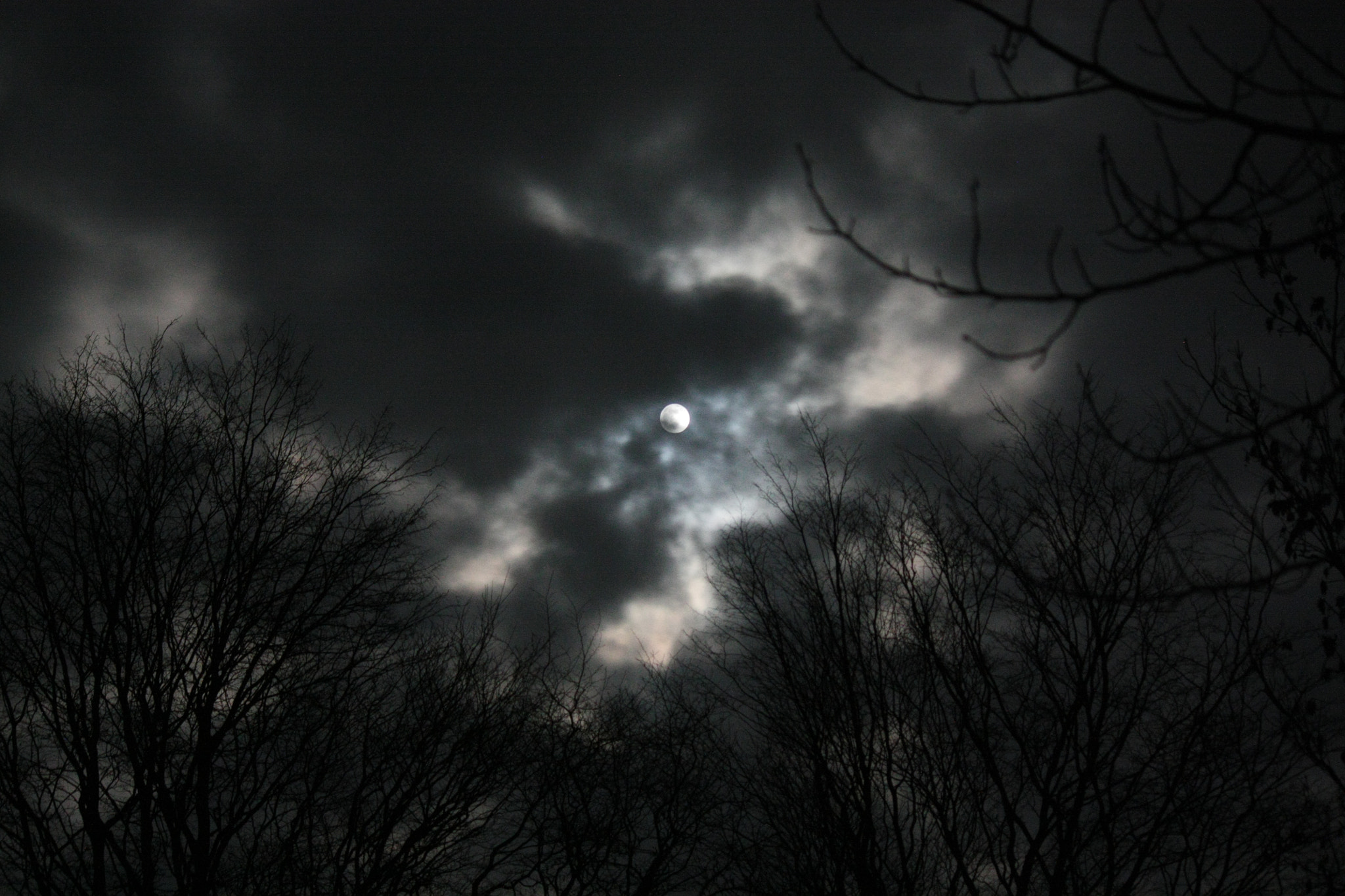 Canon EOS 450D (EOS Rebel XSi / EOS Kiss X2) sample photo. Creepy night photography