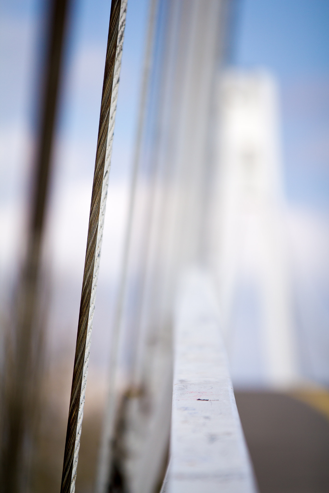 Sigma 70-200mm F2.8 EX DG OS HSM sample photo. Suspended photography