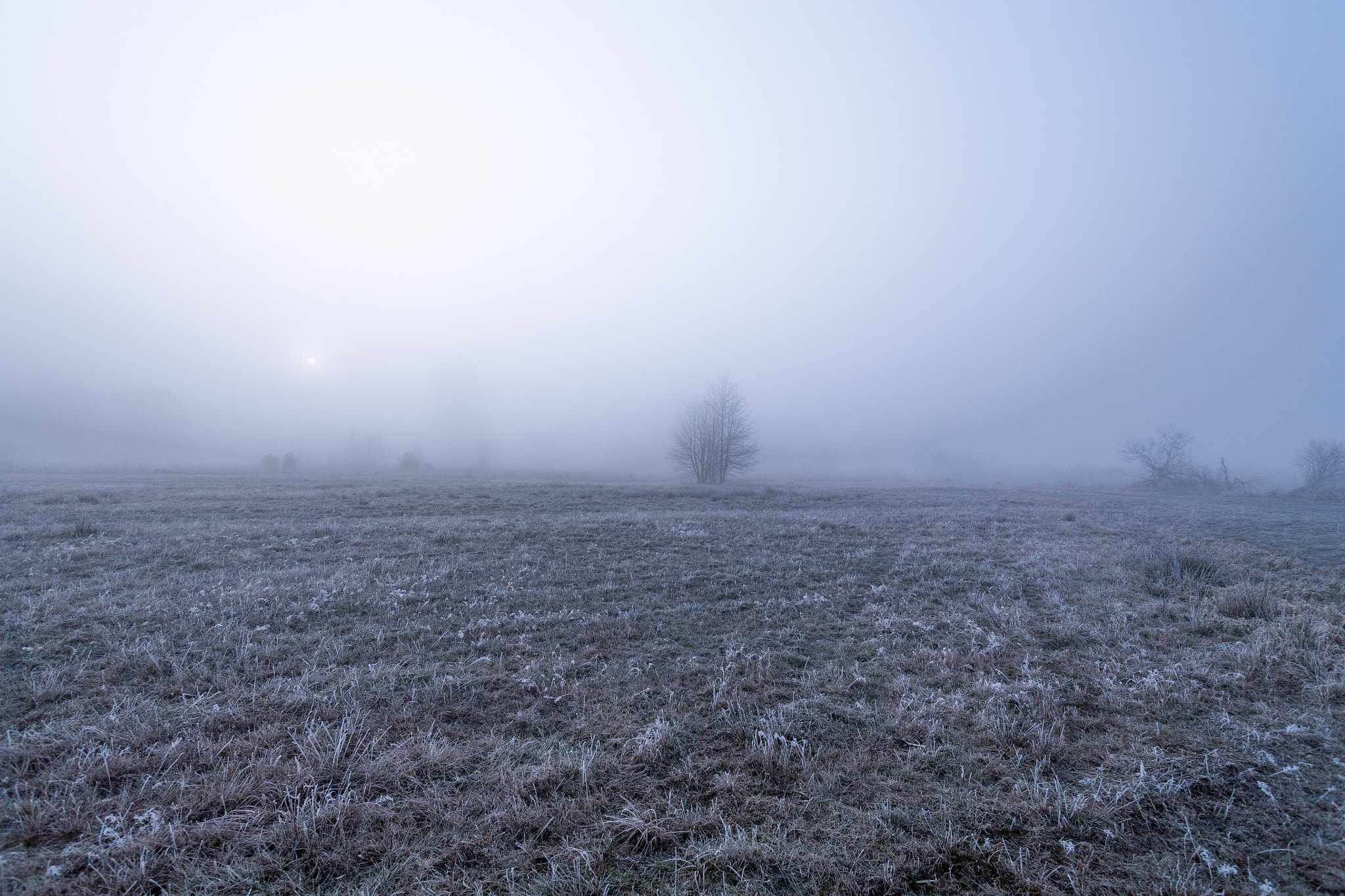 Canon EOS 5D + Tamron SP AF 17-35mm F2.8-4 Di LD Aspherical (IF) sample photo. Foggy mornig 2, warta river photography