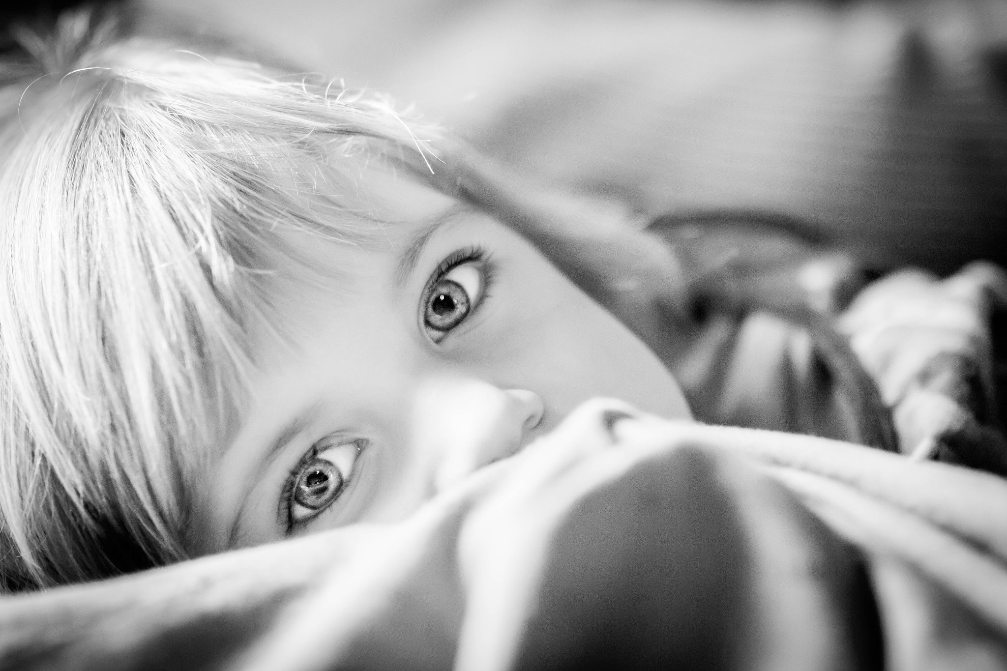 Sigma 85mm F1.4 EX DG HSM sample photo. Beyond the blanket photography